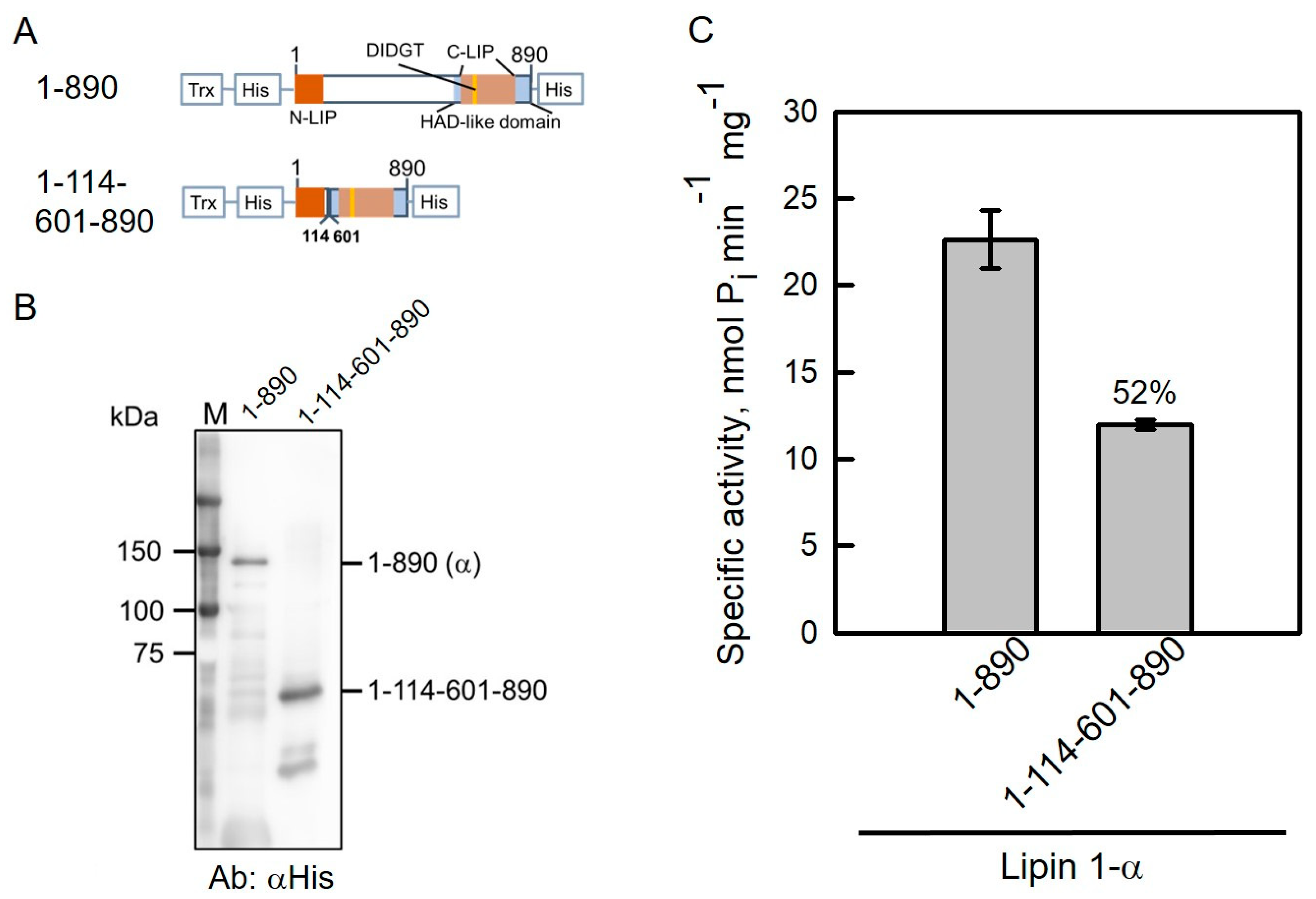 Molecules 26 05470 g005