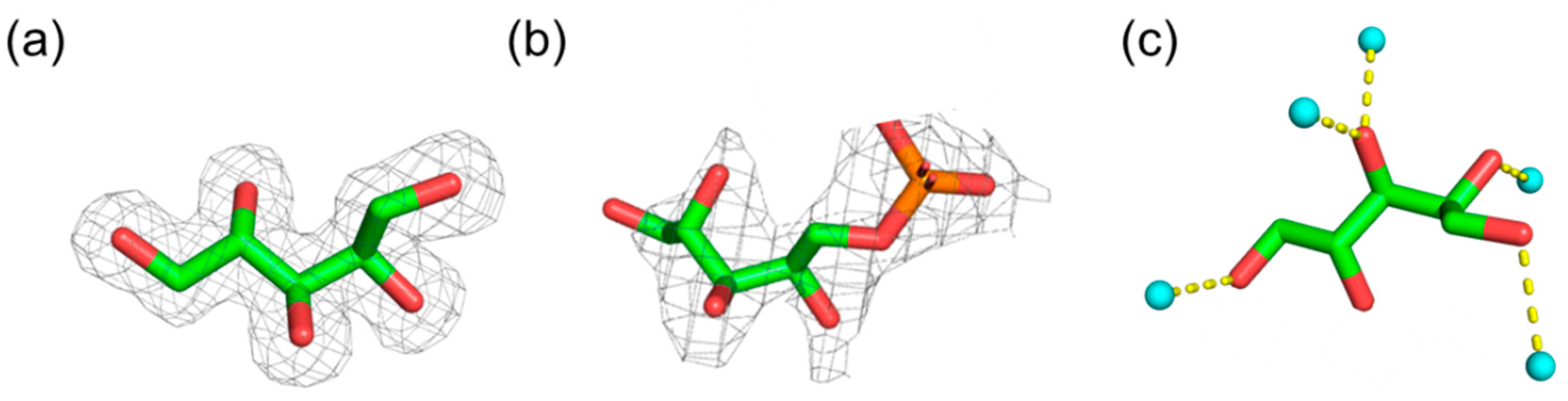 Molecules 26 05471 g002