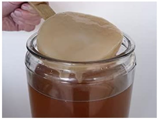 SCOBY Recipe - The Washington Post