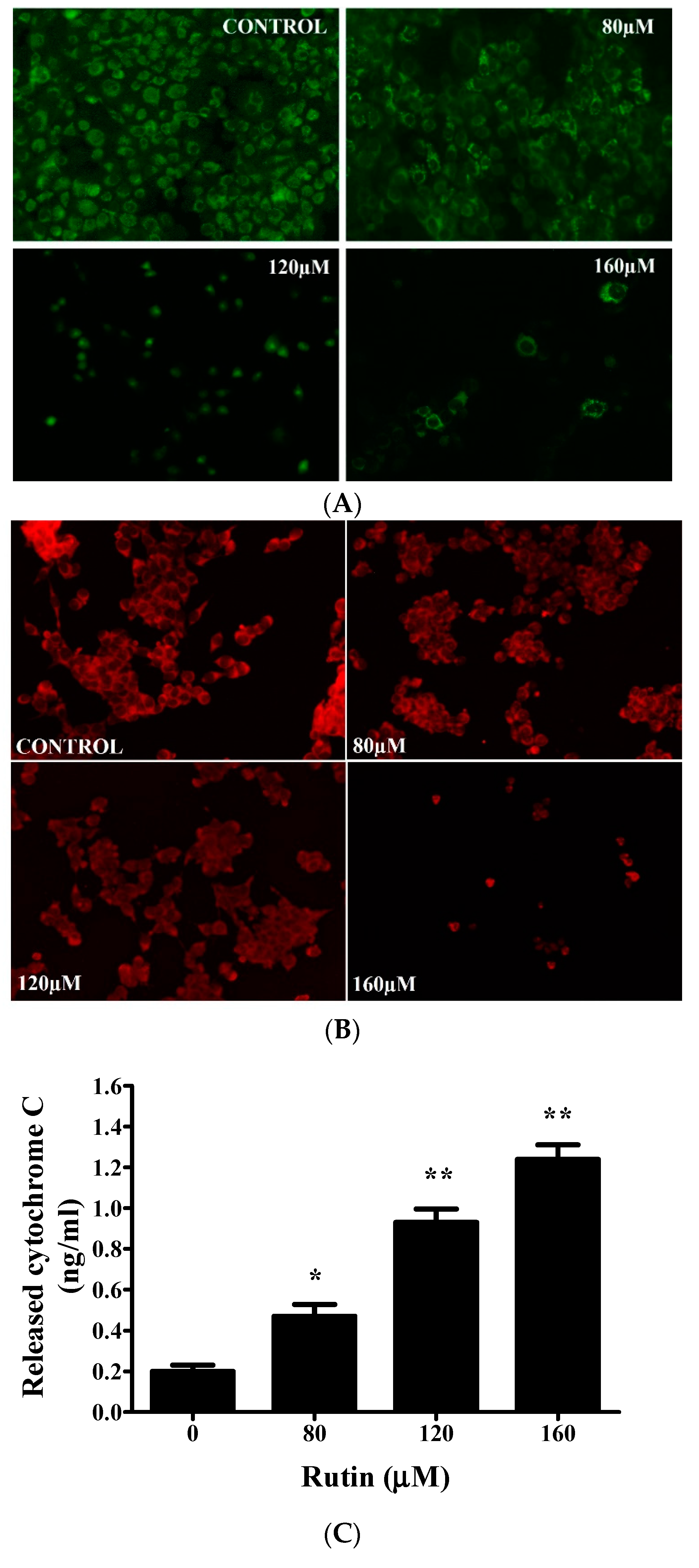 Molecules 26 05529 g004