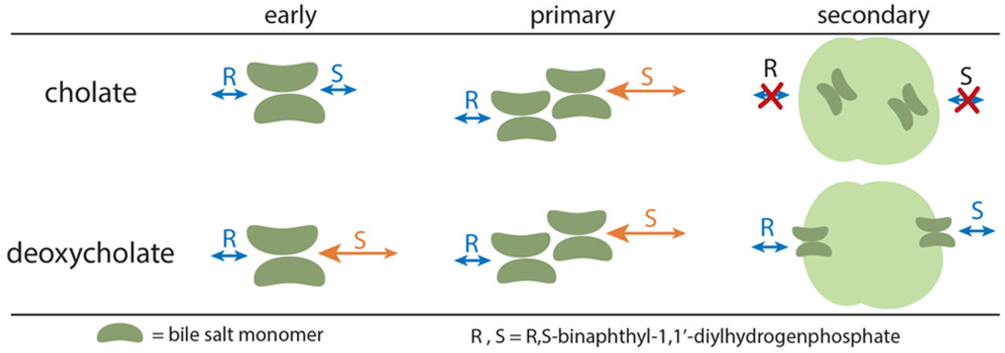 Molecules 26 05531 g002 Molecules 26 05531 g002