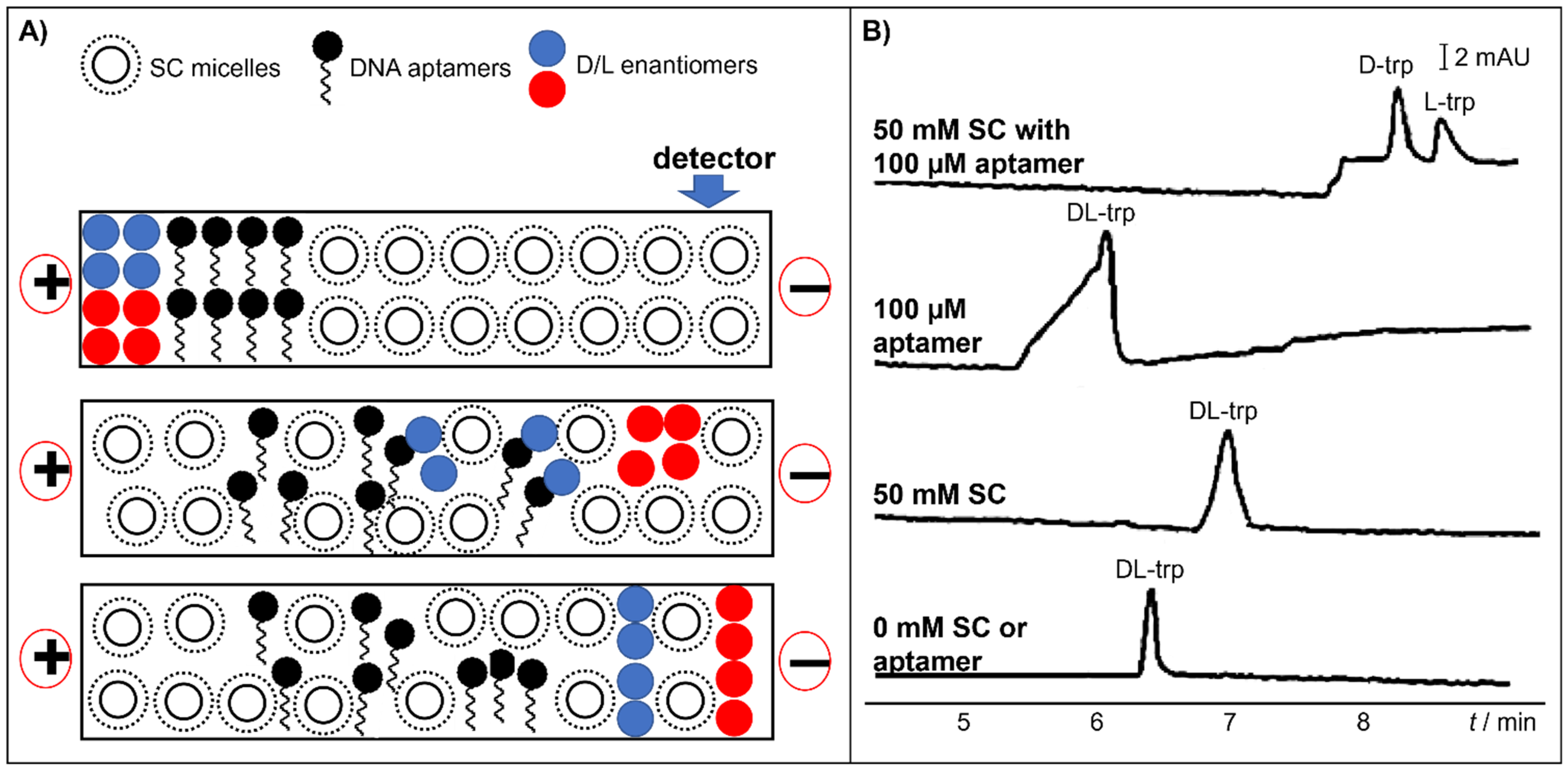 Molecules 26 05531 g007 Molecules 26 05531 g007