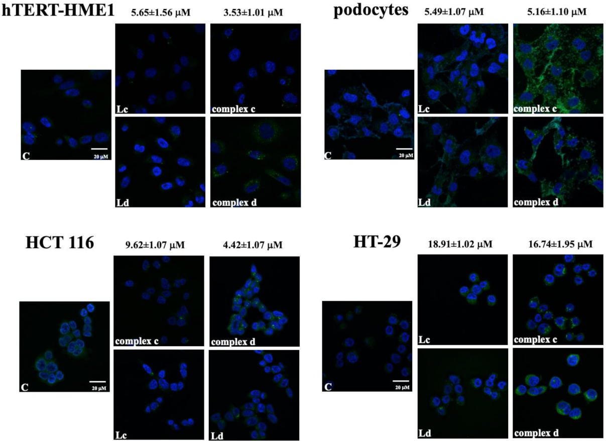 Molecules 26 05534 g002