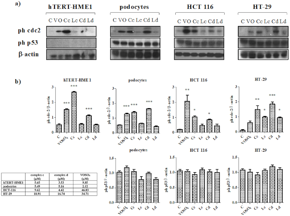 Molecules 26 05534 g004