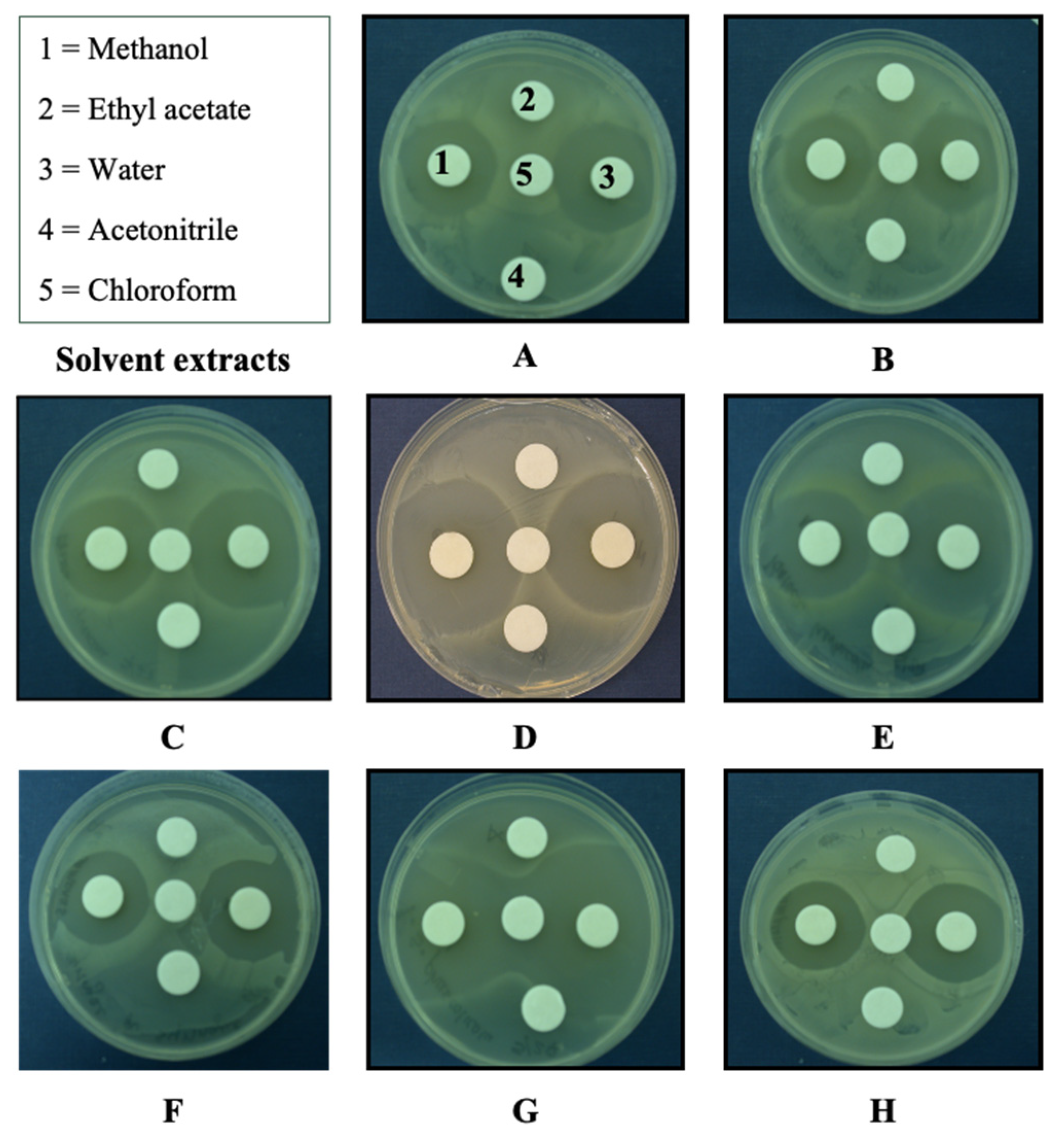 https://www.mdpi.com/molecules/molecules-26-05553/article_deploy/html/images/molecules-26-05553-g001.png