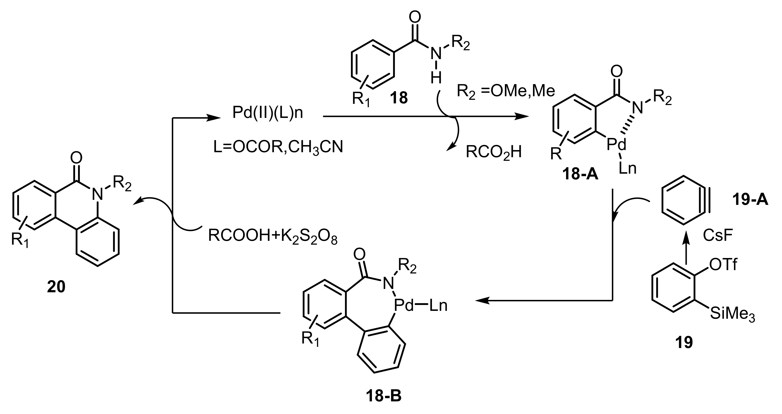 Molecules 26 05560 sch009