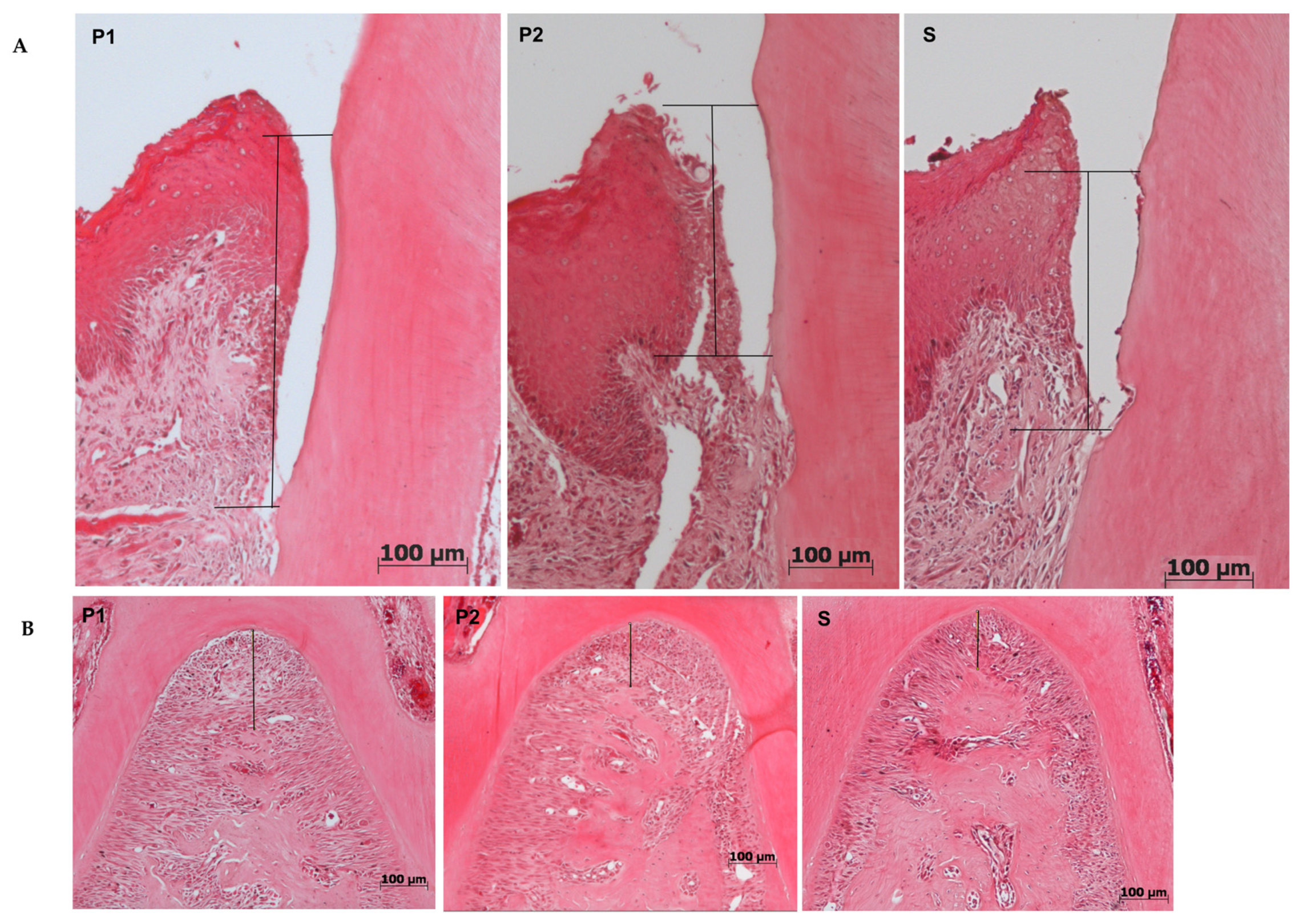 Molecules 26 05590 g004