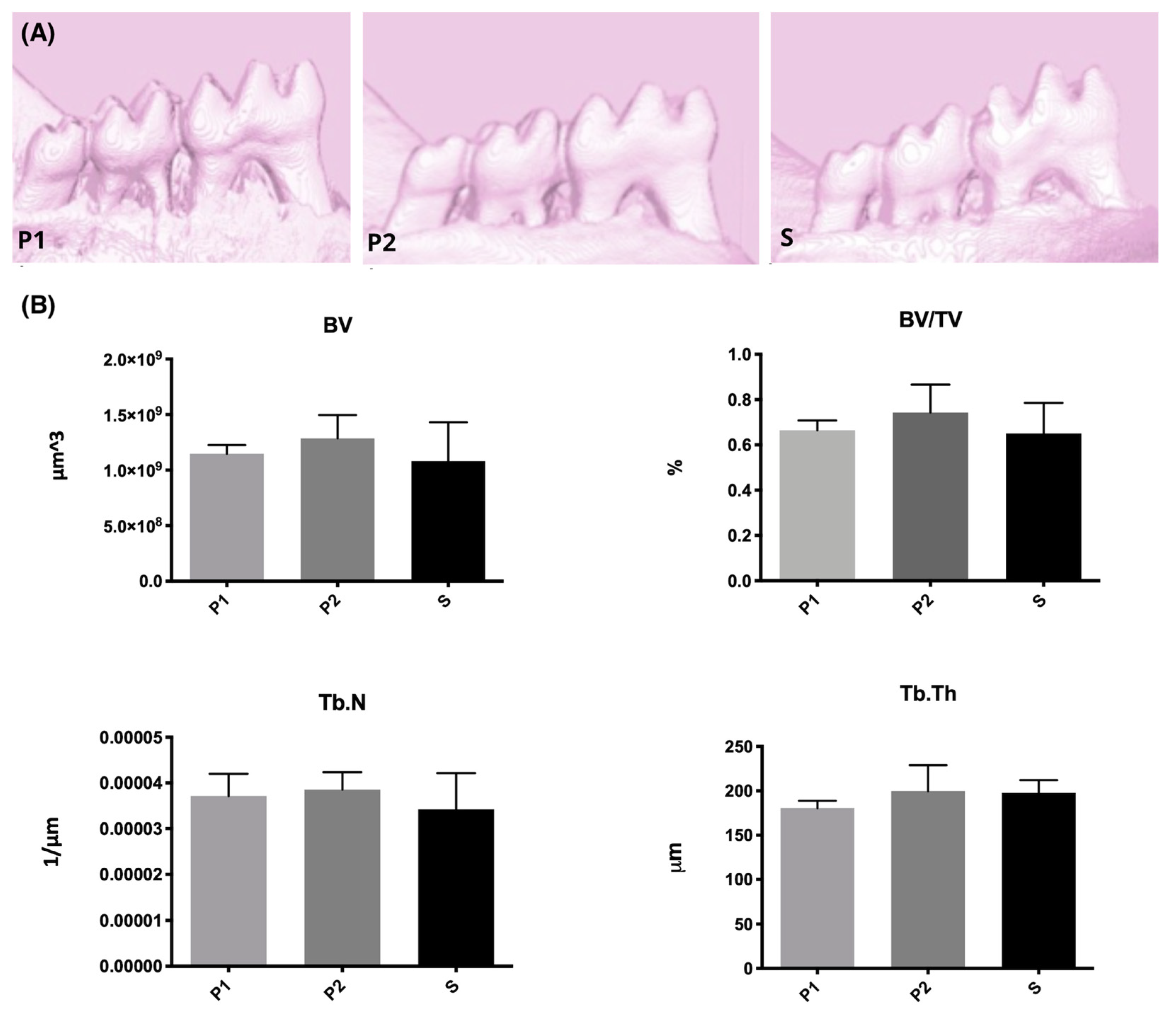 Molecules 26 05590 g005