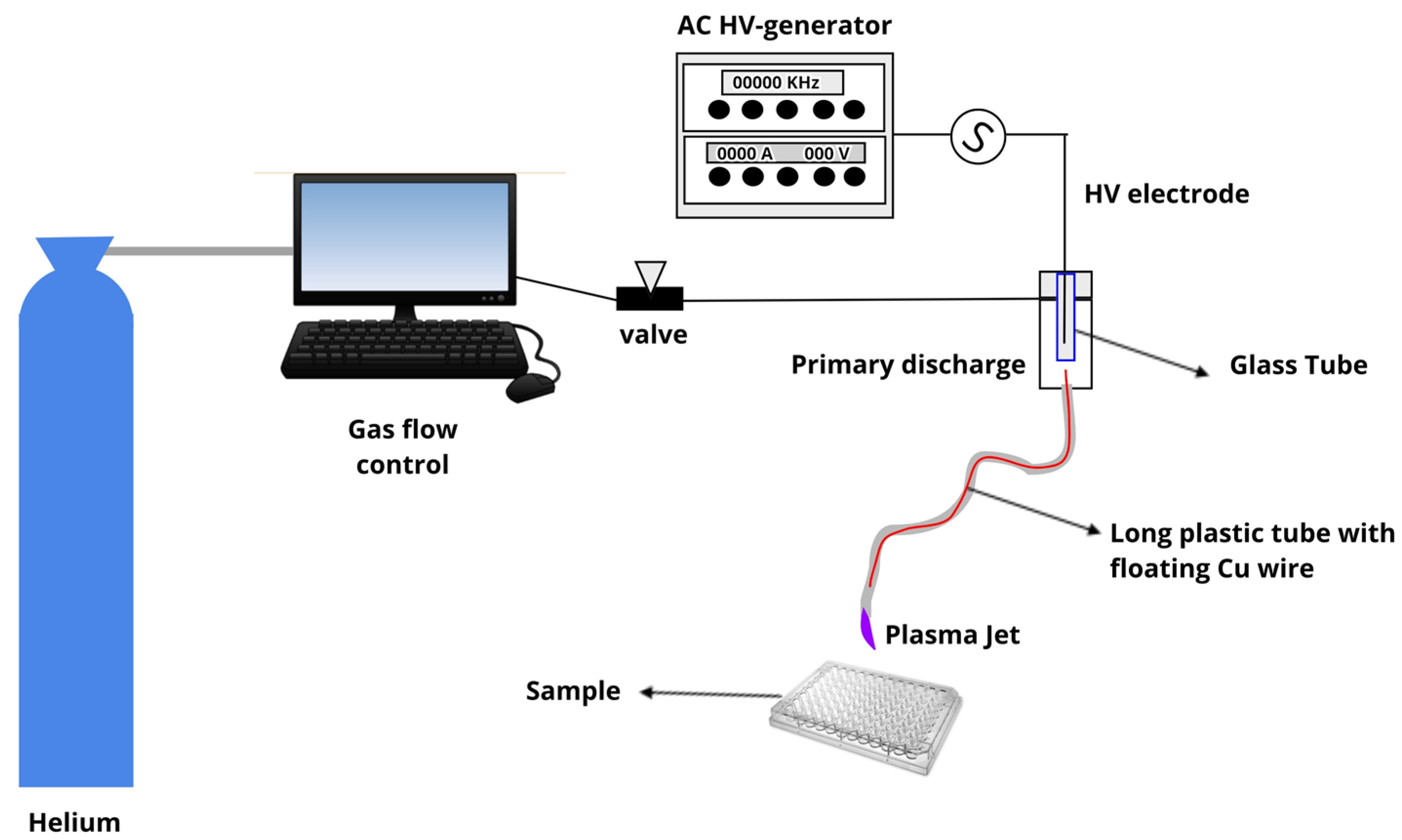 Molecules 26 05590 g006