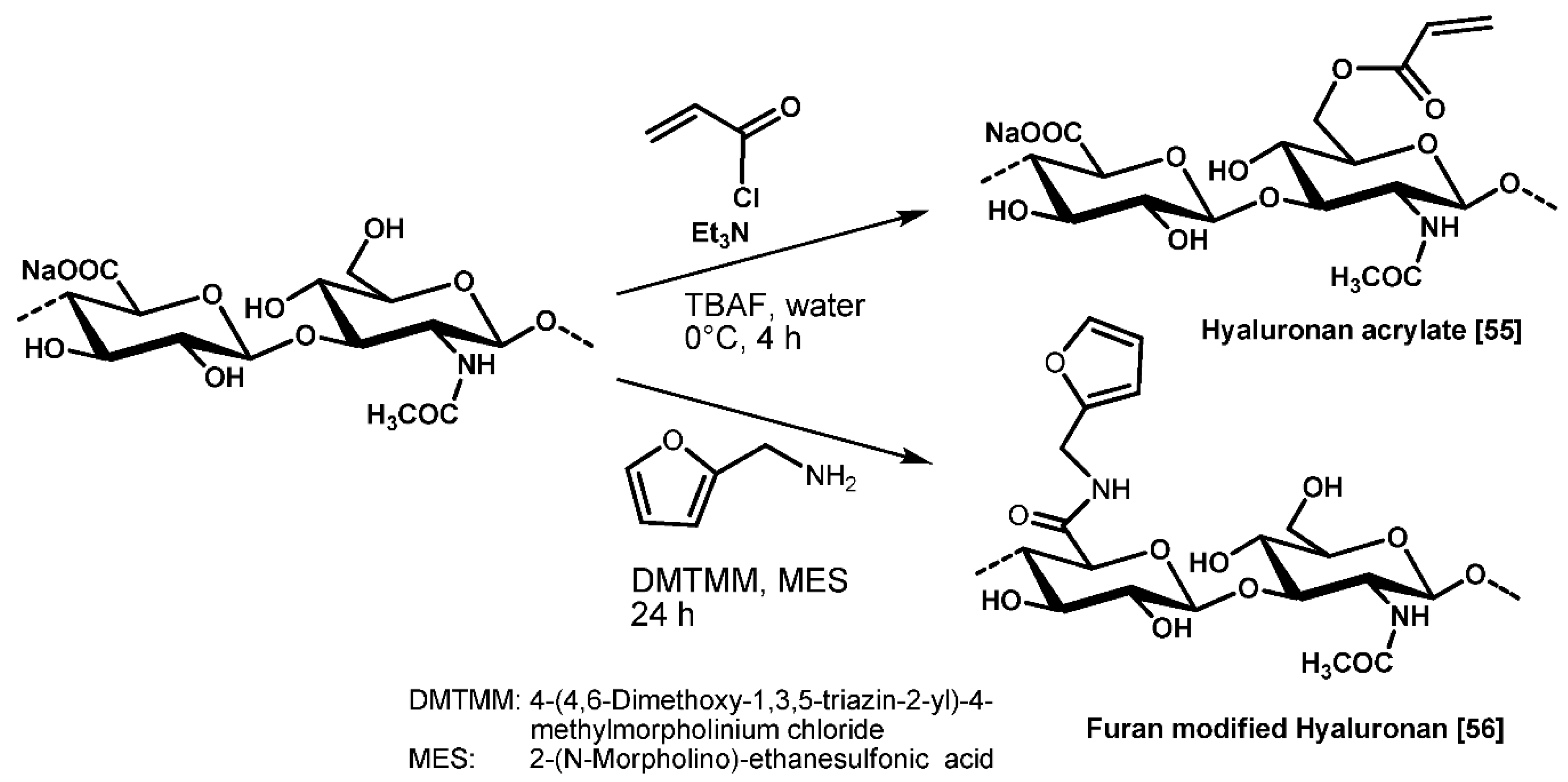 Molecules 26 05597 g003