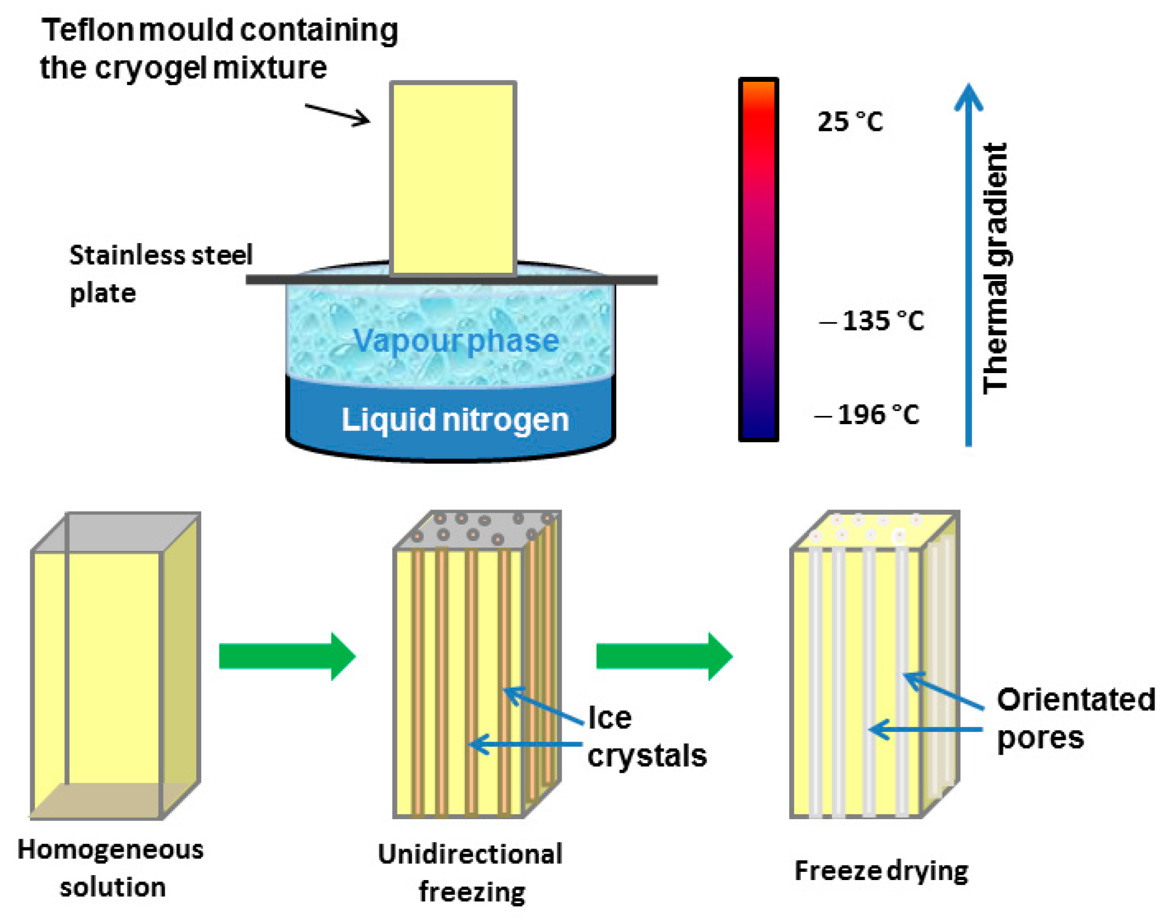 Molecules 26 05597 g009