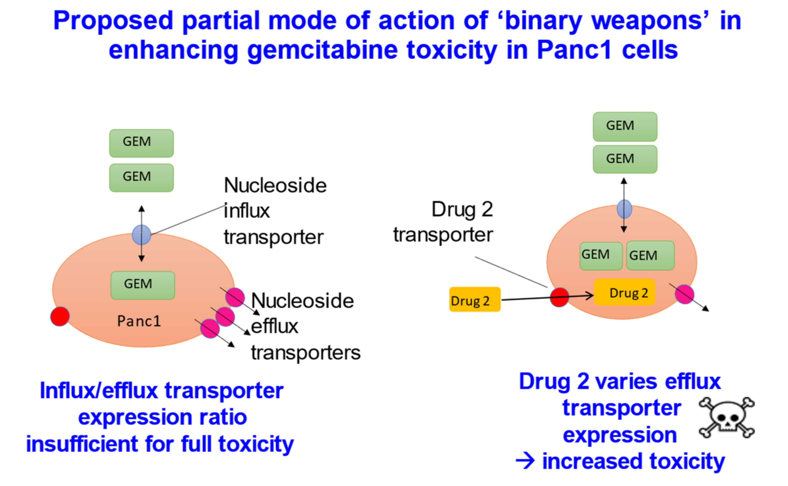 Molecules | Free Full-Text | The Transporter-Mediated Cellular Uptake and  Efflux of Pharmaceutical Drugs and Biotechnology Products: How and Why  Phospholipid Bilayer Transport Is Negligible in Real Biomembranes
