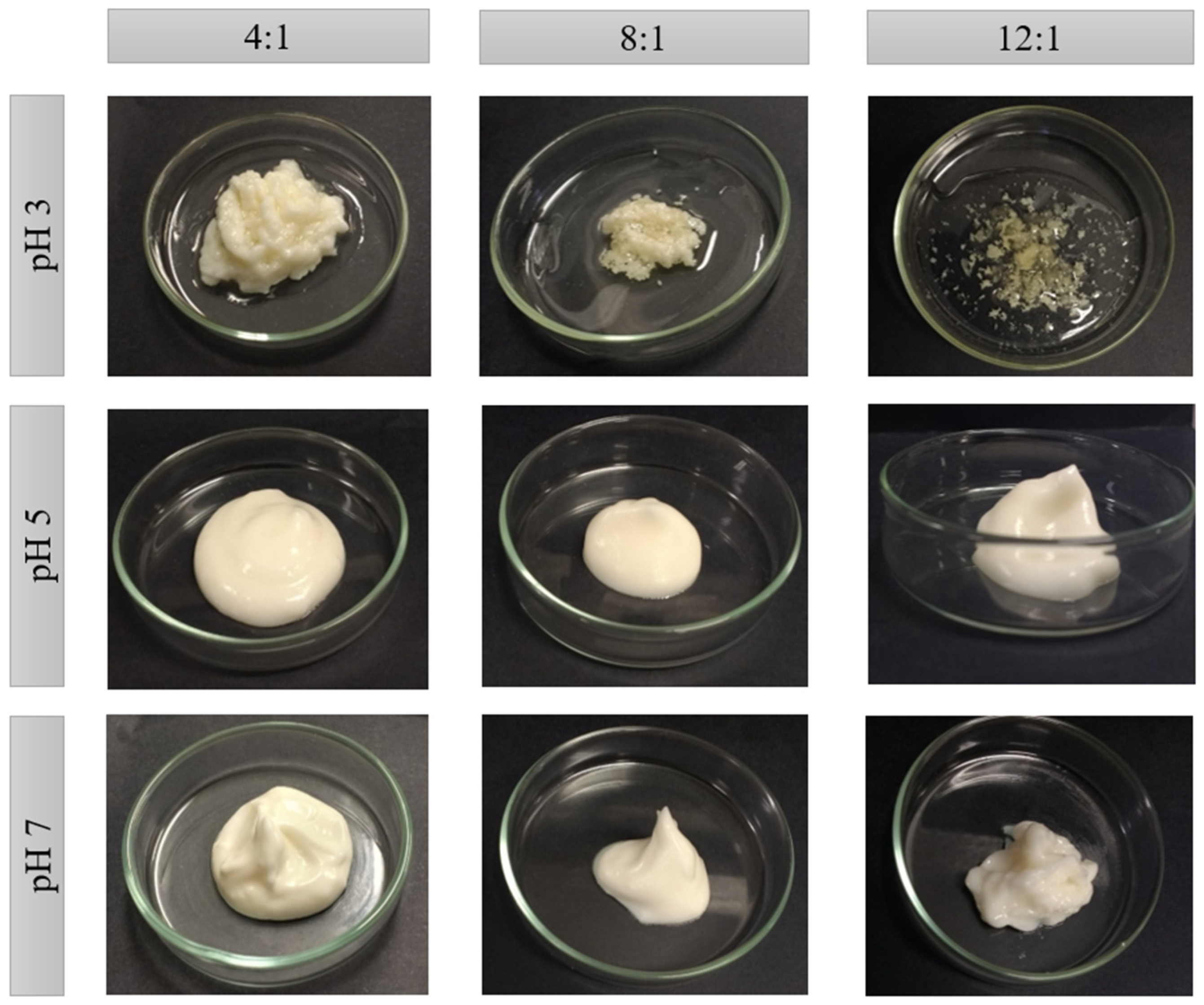 Molecules 26 05646 g002