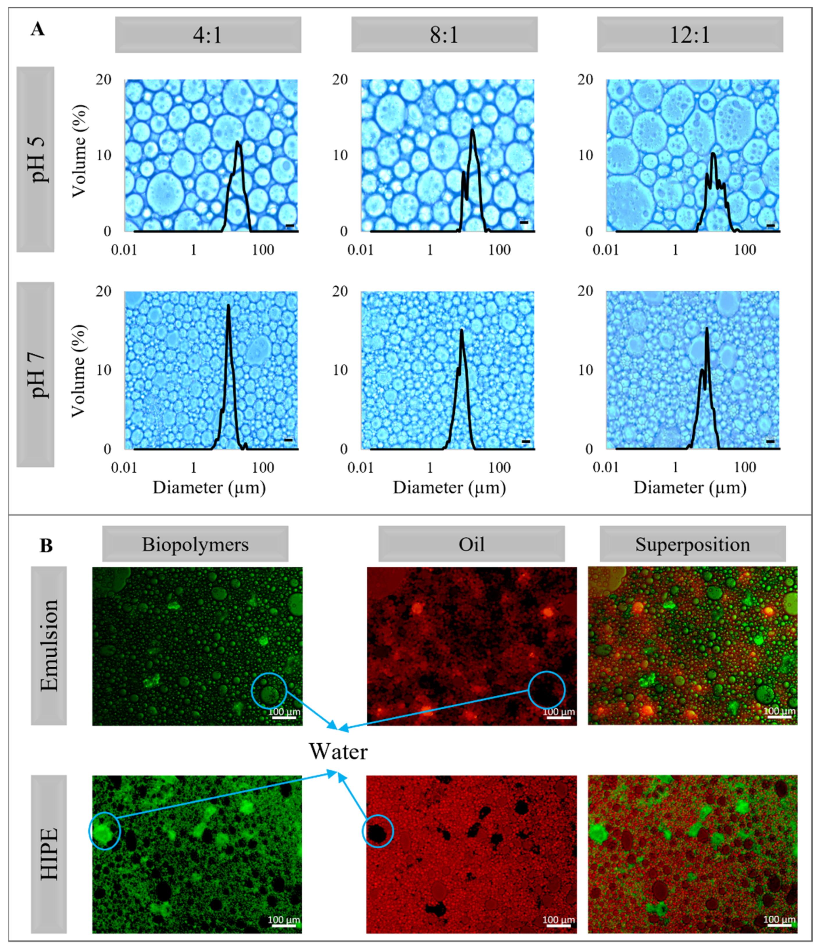 Molecules 26 05646 g004