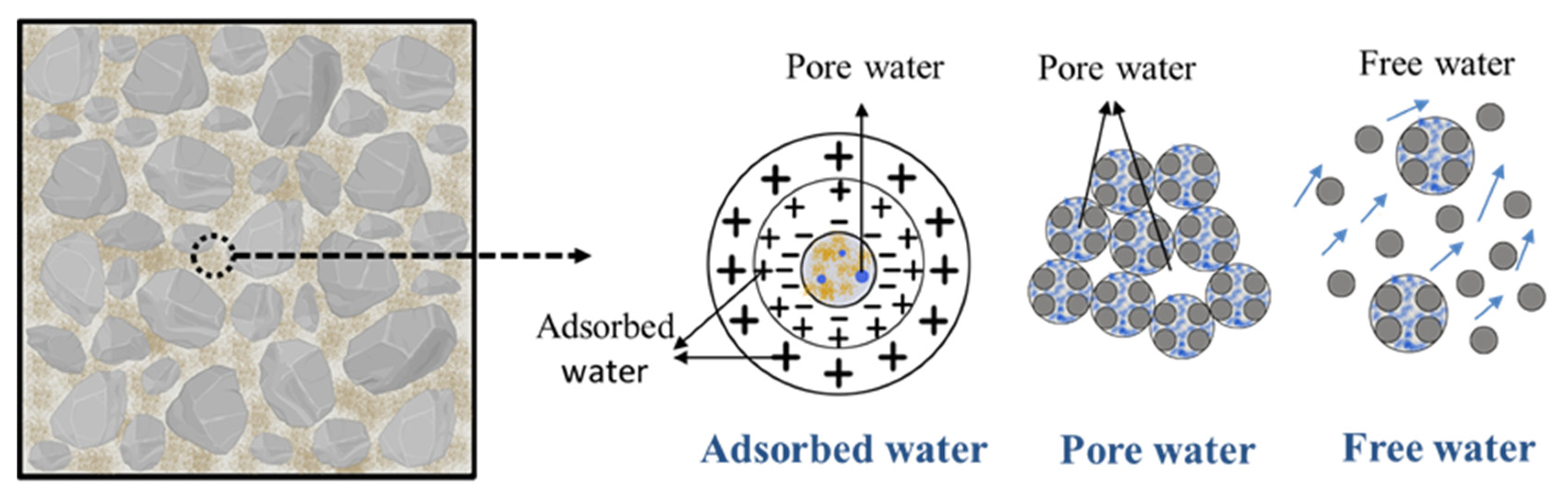 Molecules 26 05663 g004