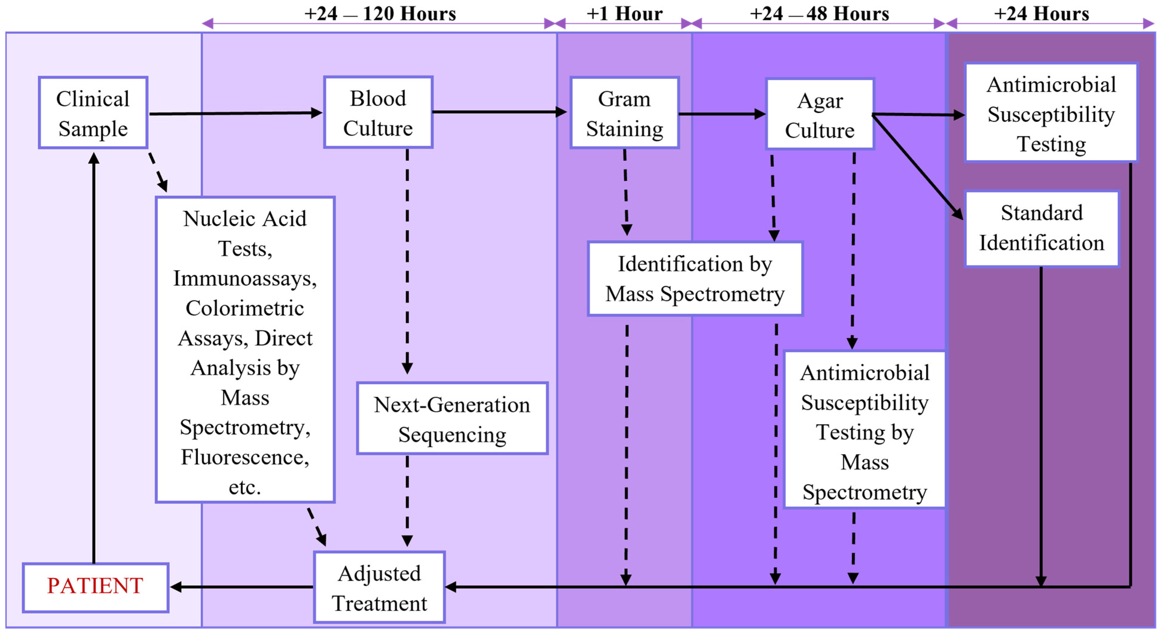 Molecules 26 05666 g001 Molecules 26 05666 g001