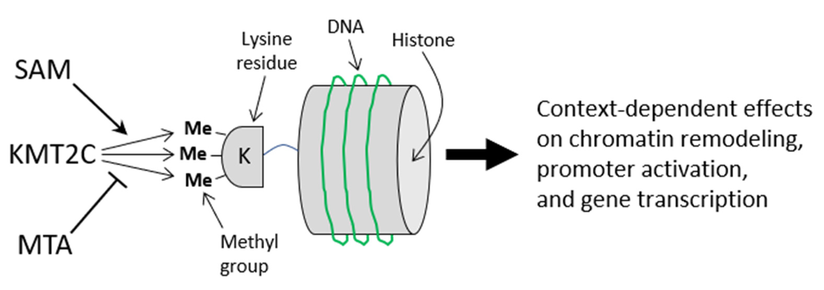 Molecules 26 05674 g009