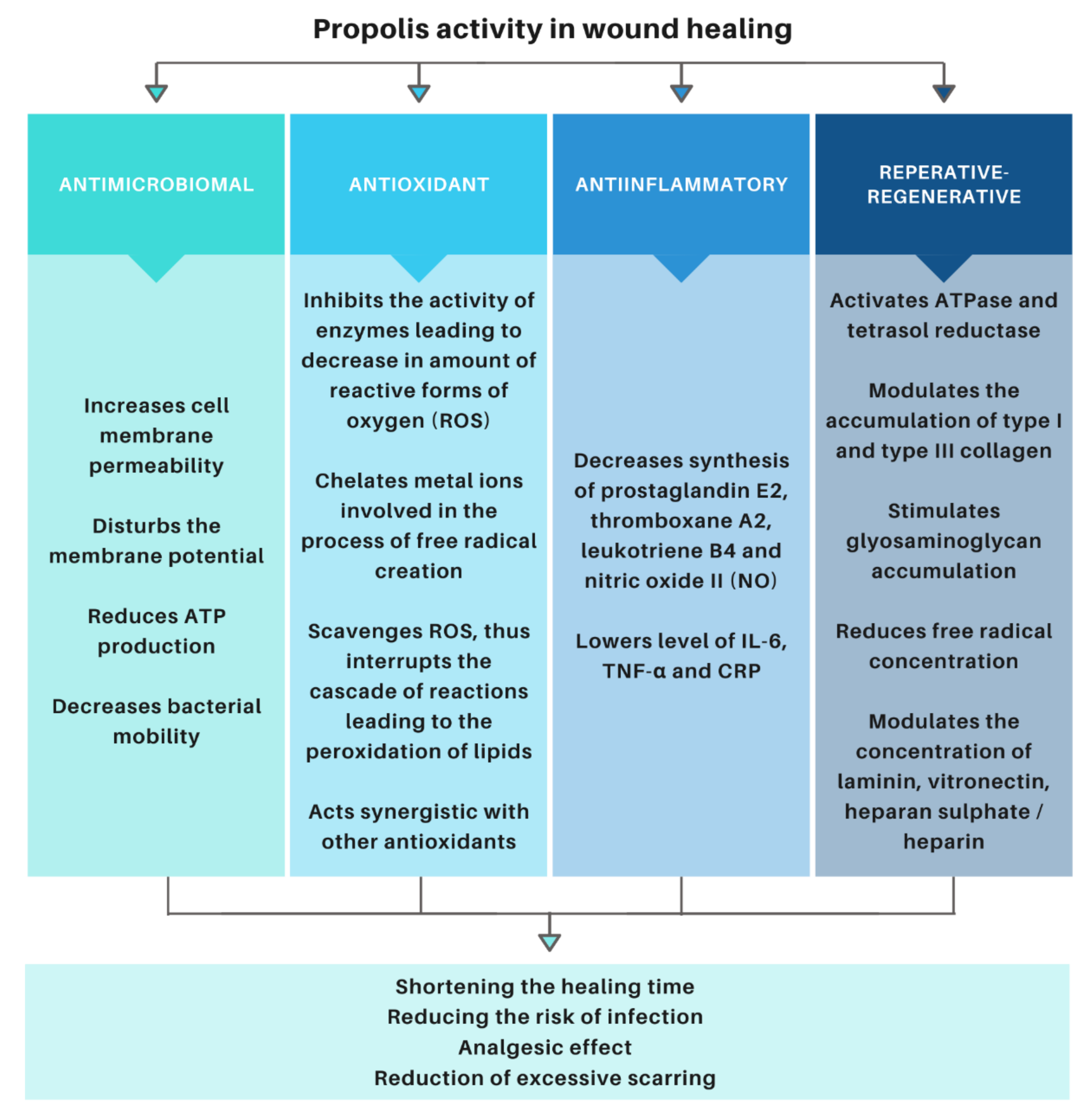 Molecules | Free Full-Text | Nonwoven Releasing Propolis as a Potential New  Wound Healing Method—A Review