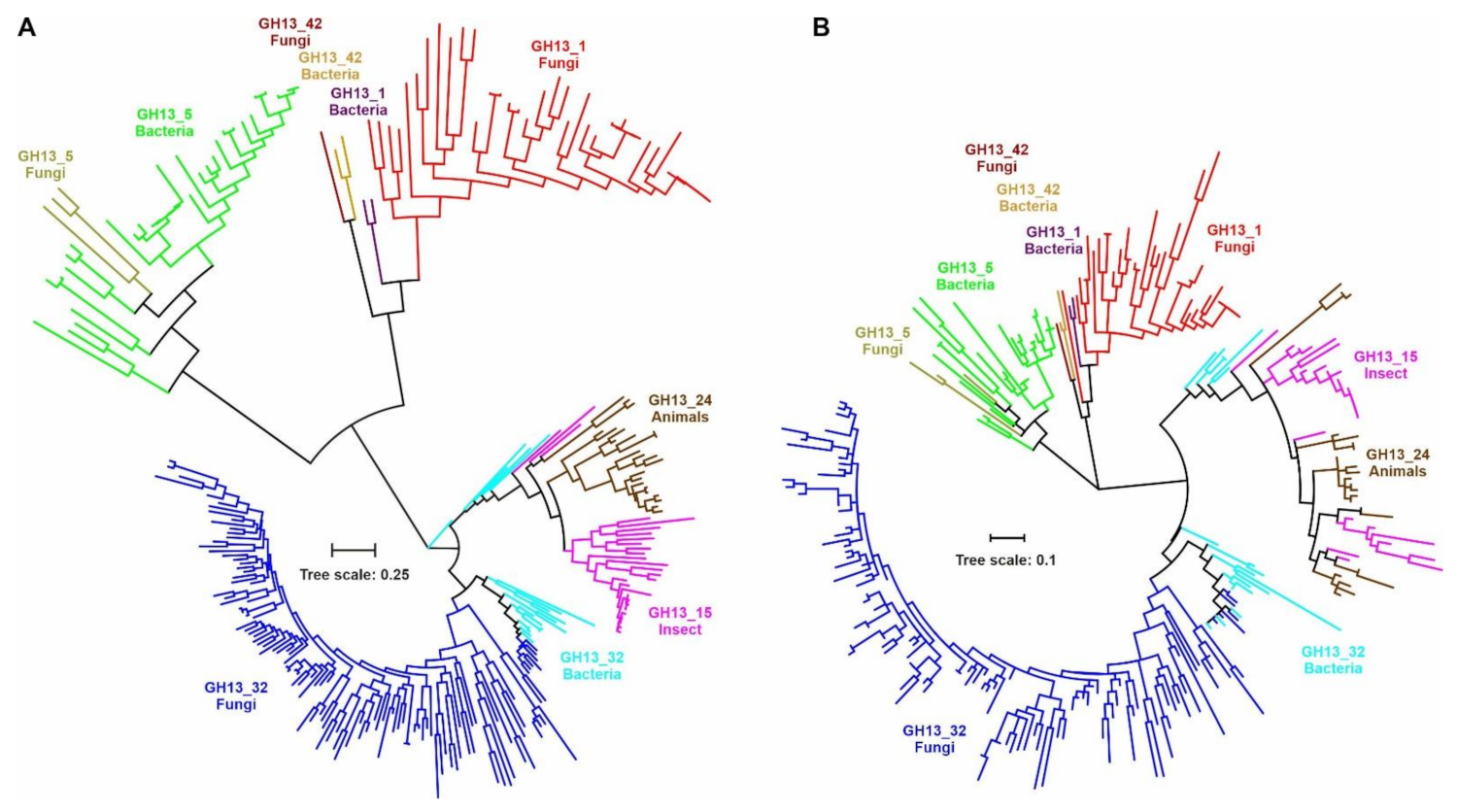 Molecules Free Full Text In Silico Analysis Of Fungal And Chloride Dependent A Amylases Within The Family Gh13 With Identification Of Possible Secondary Surface Binding Sites Html