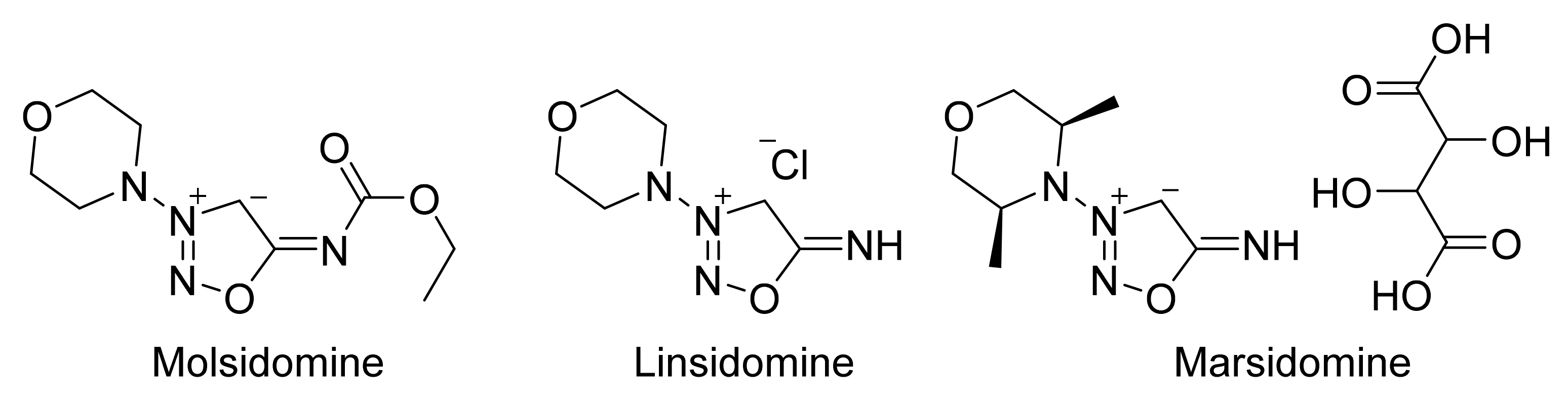 Molecules 26 05705 g002