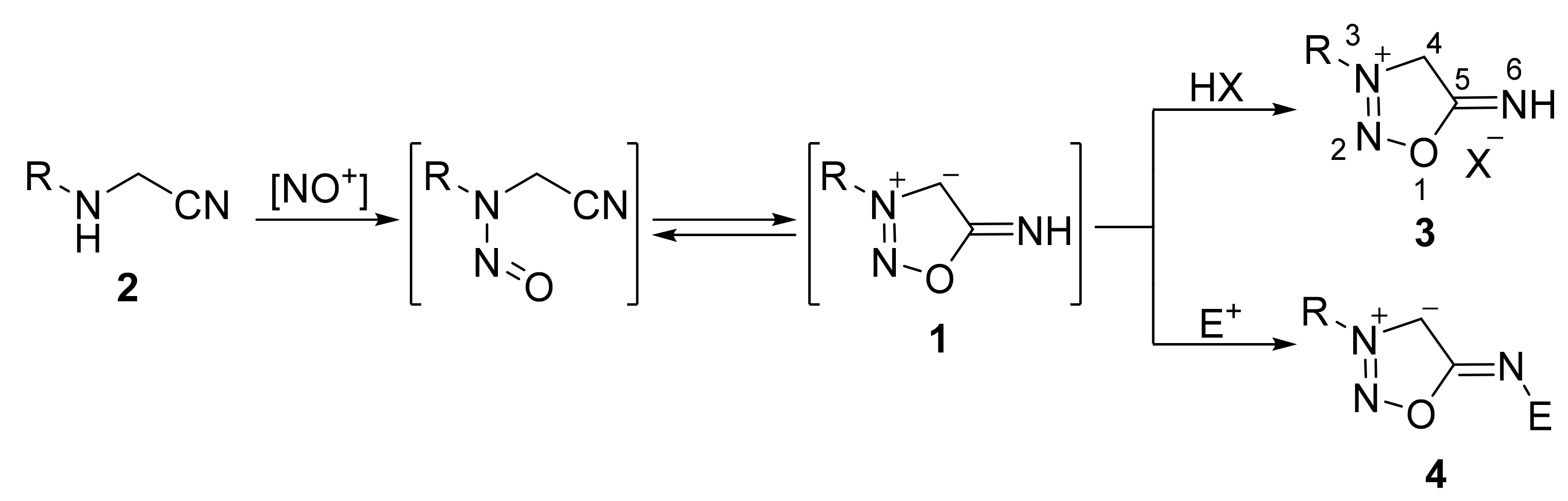 Molecules 26 05705 sch002