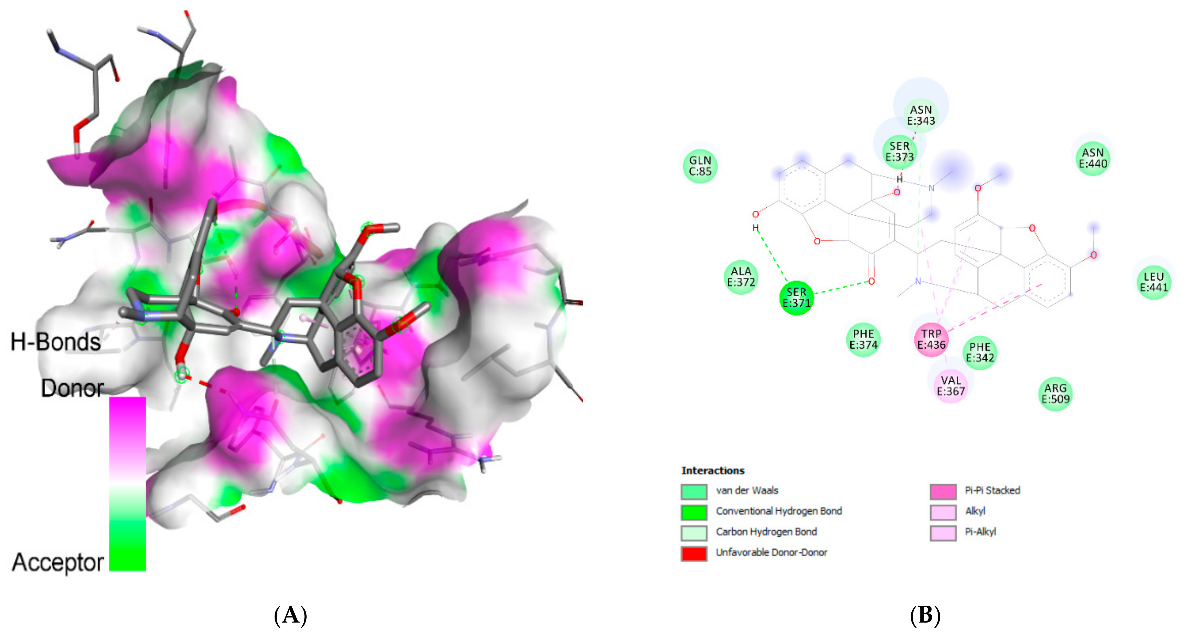 Molecules 26 05724 g002