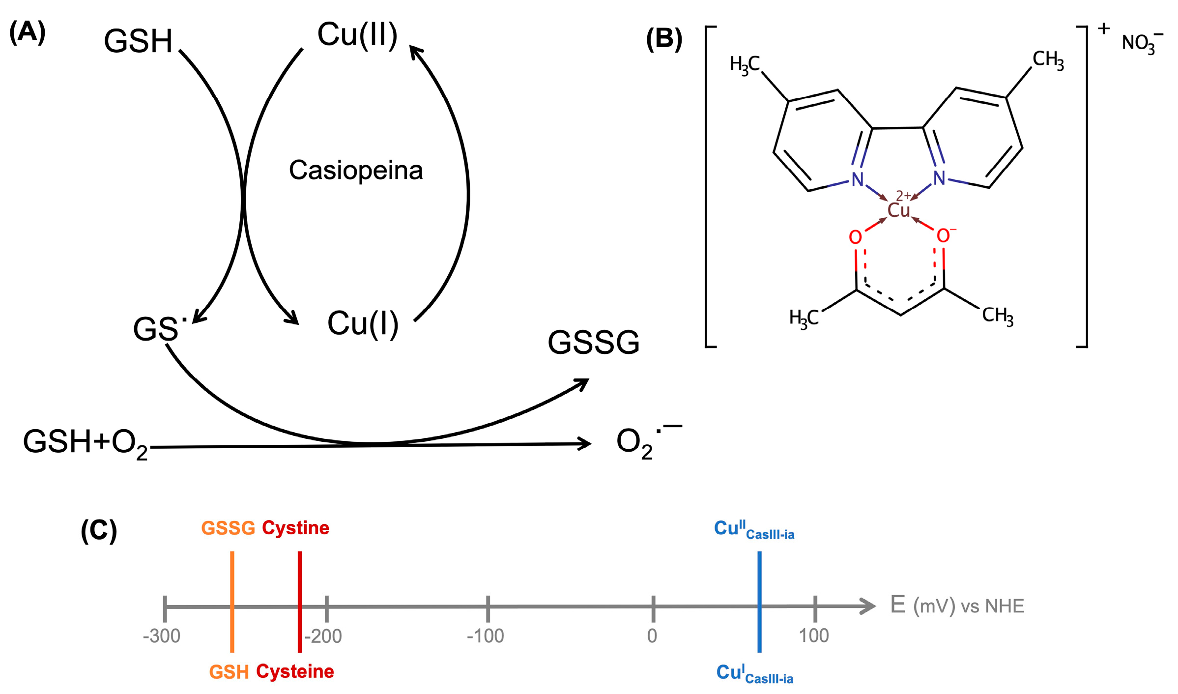Molecules | Free Full-Text | Intermediate Detection in the Casiopeina– Cysteine Interaction Ending in the Disulfide Bond Formation and Copper  Reduction