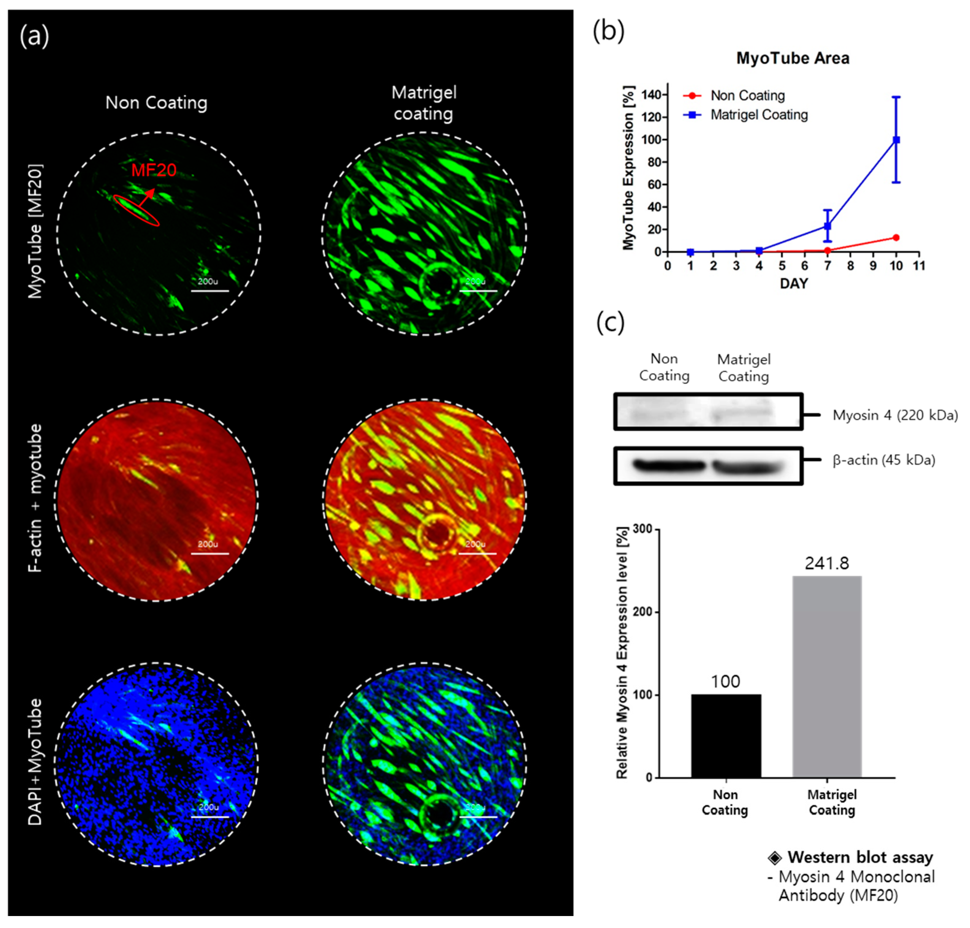 Molecules 26 05805 g003