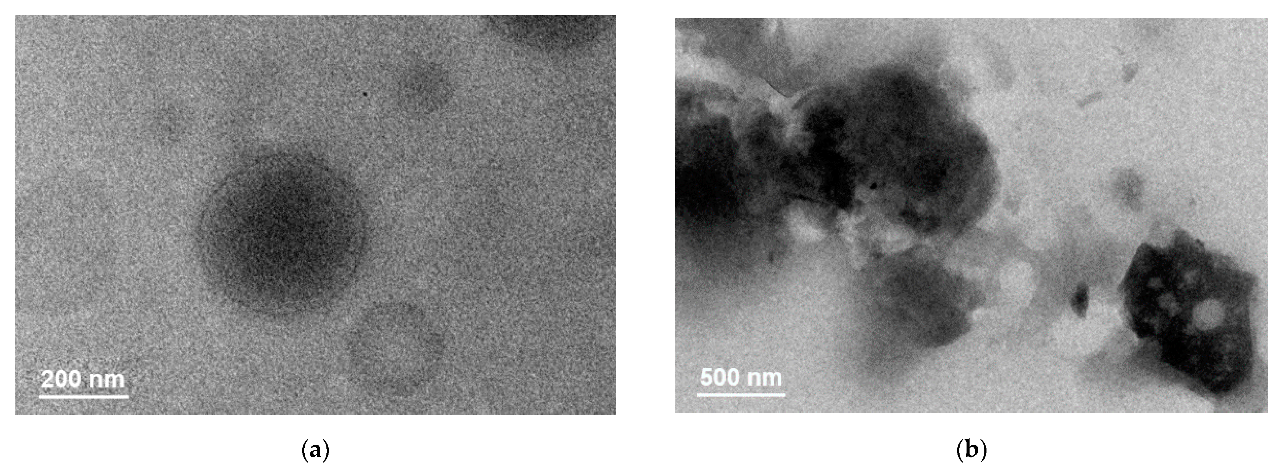 Molecules 26 05821 g007a