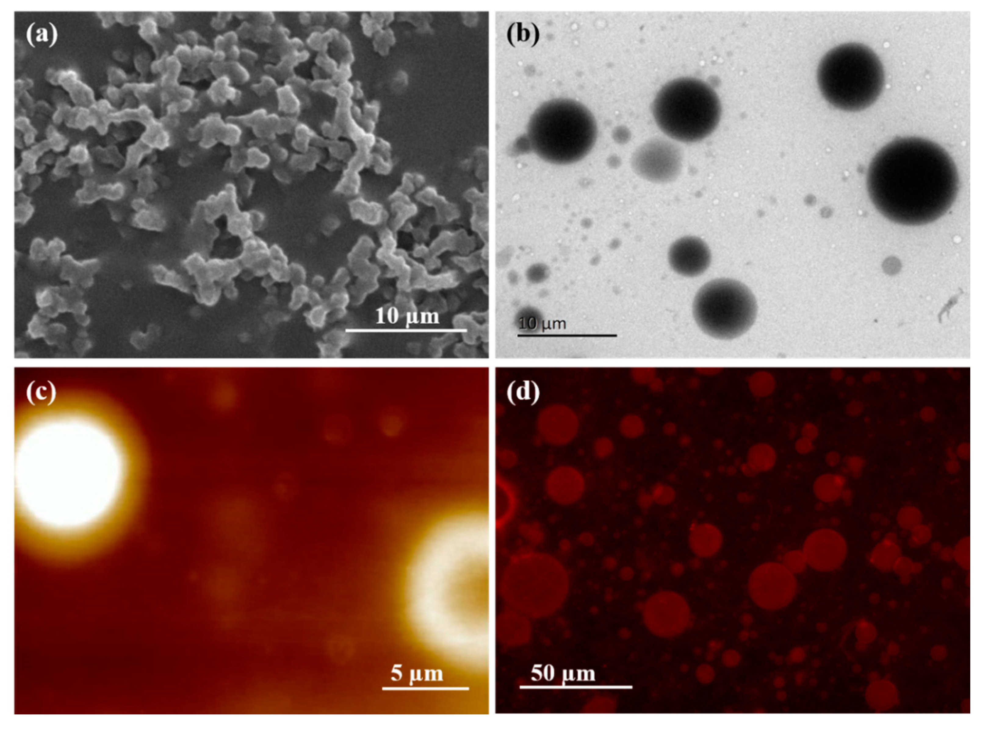 Molecules 26 05821 g009