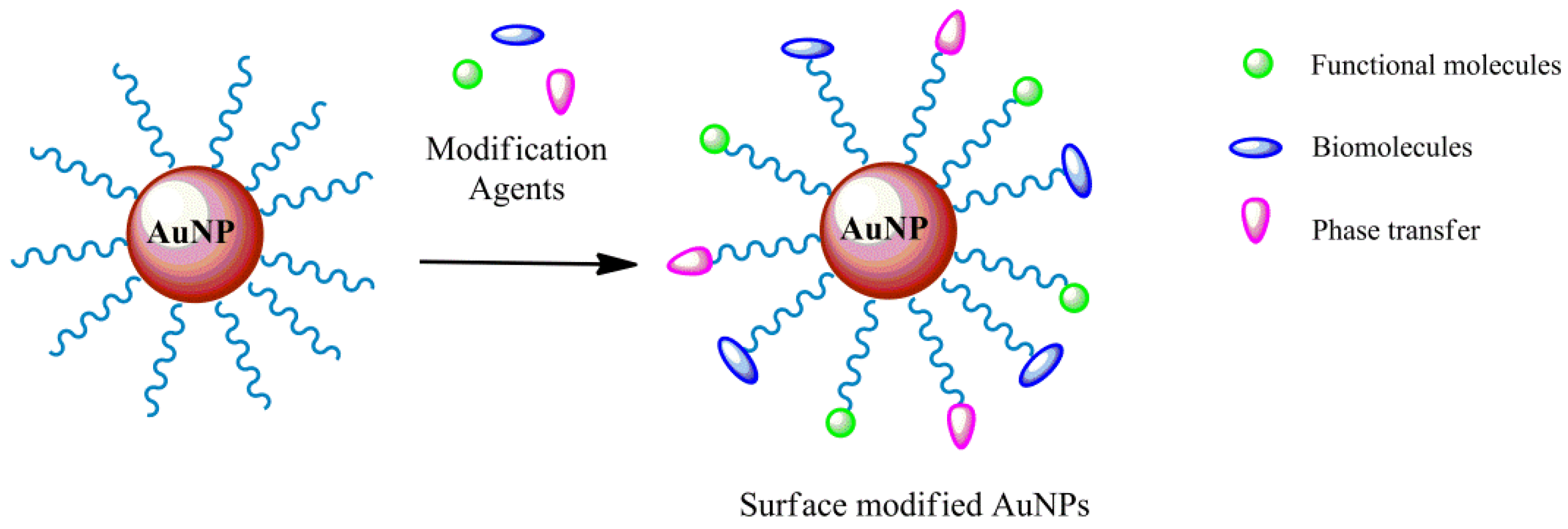 Molecules 26 05823 g003