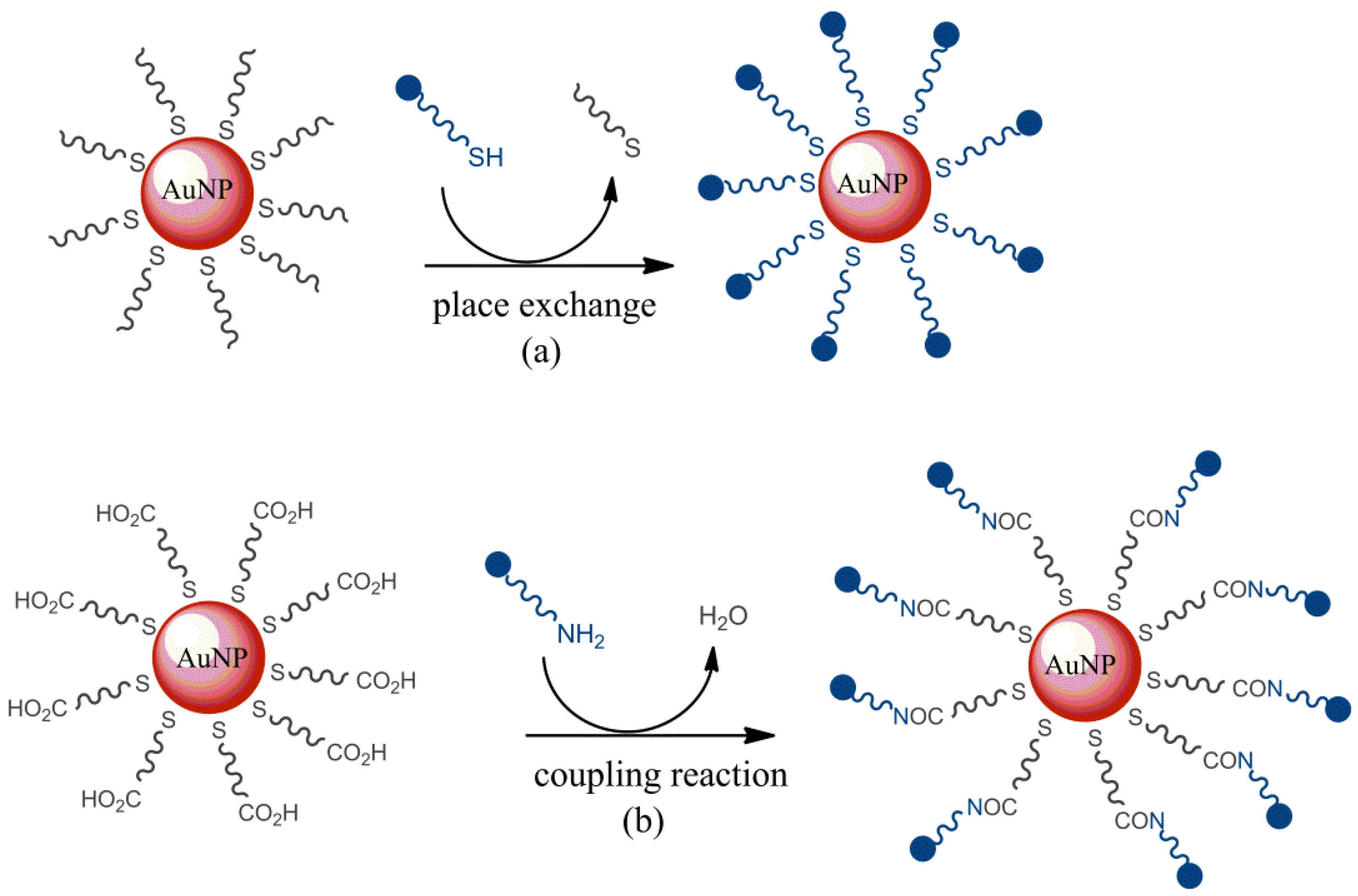 Molecules 26 05823 g004