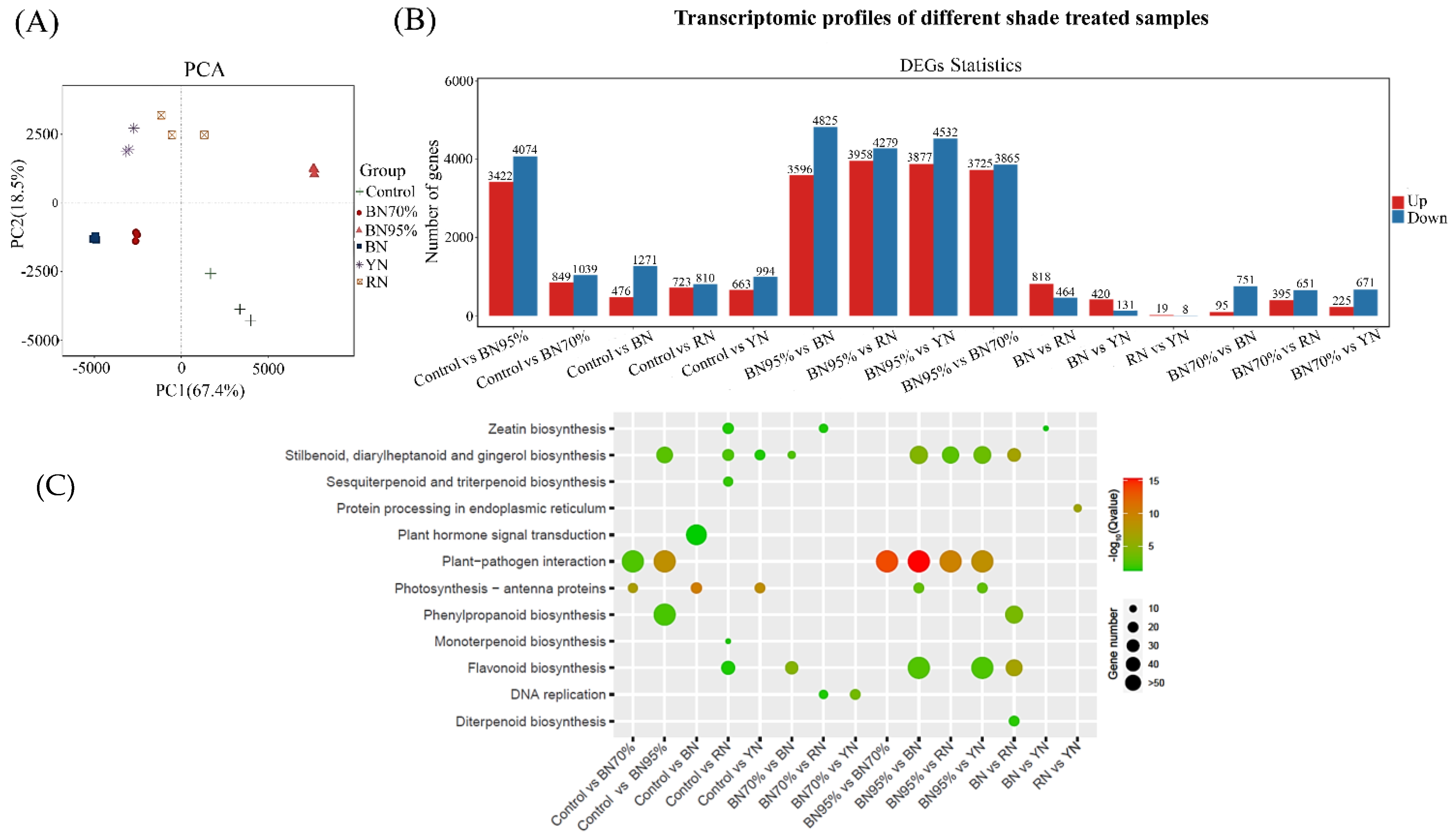 Molecules 26 05836 g003