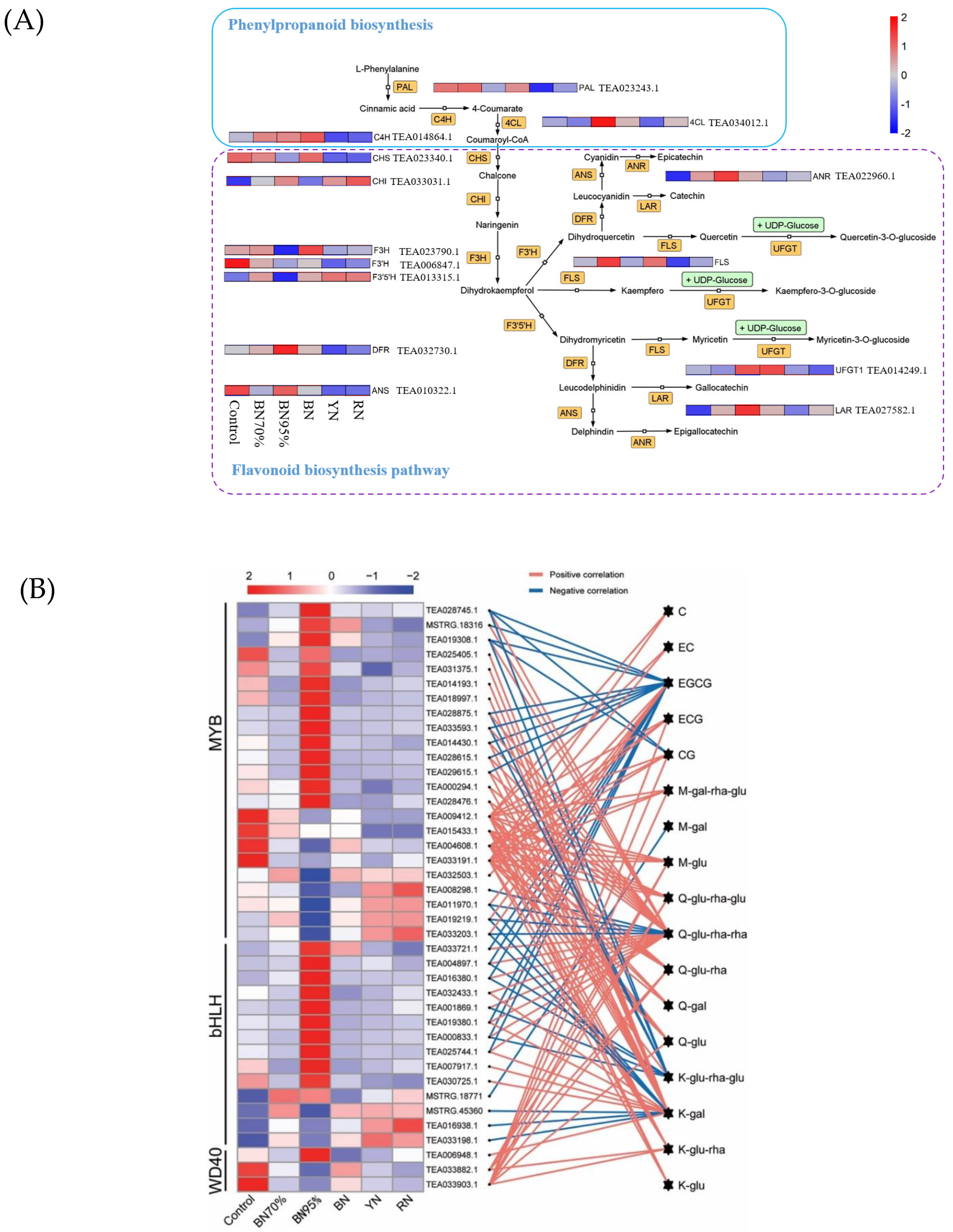 Molecules 26 05836 g004