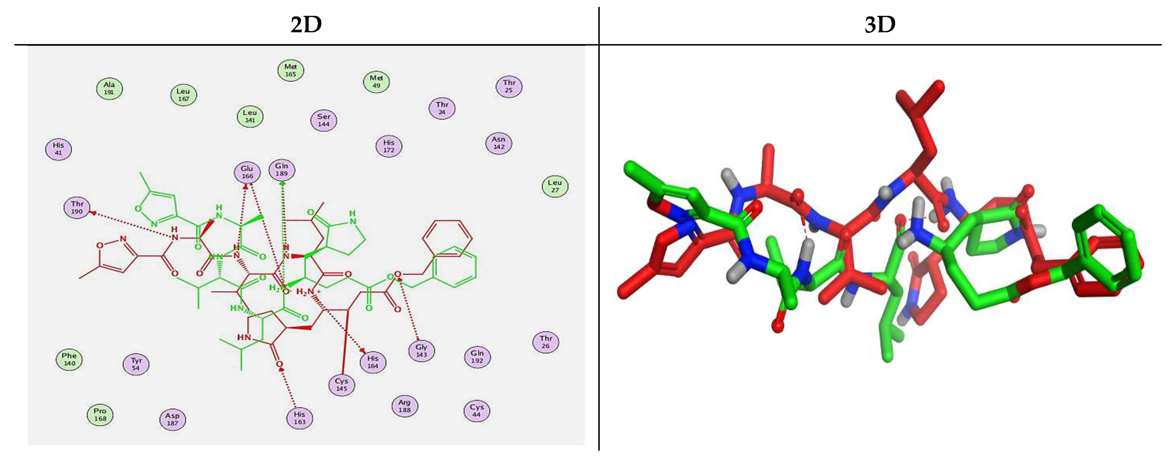 Molecules 26 05844 g010 Molecules 26 05844 g010