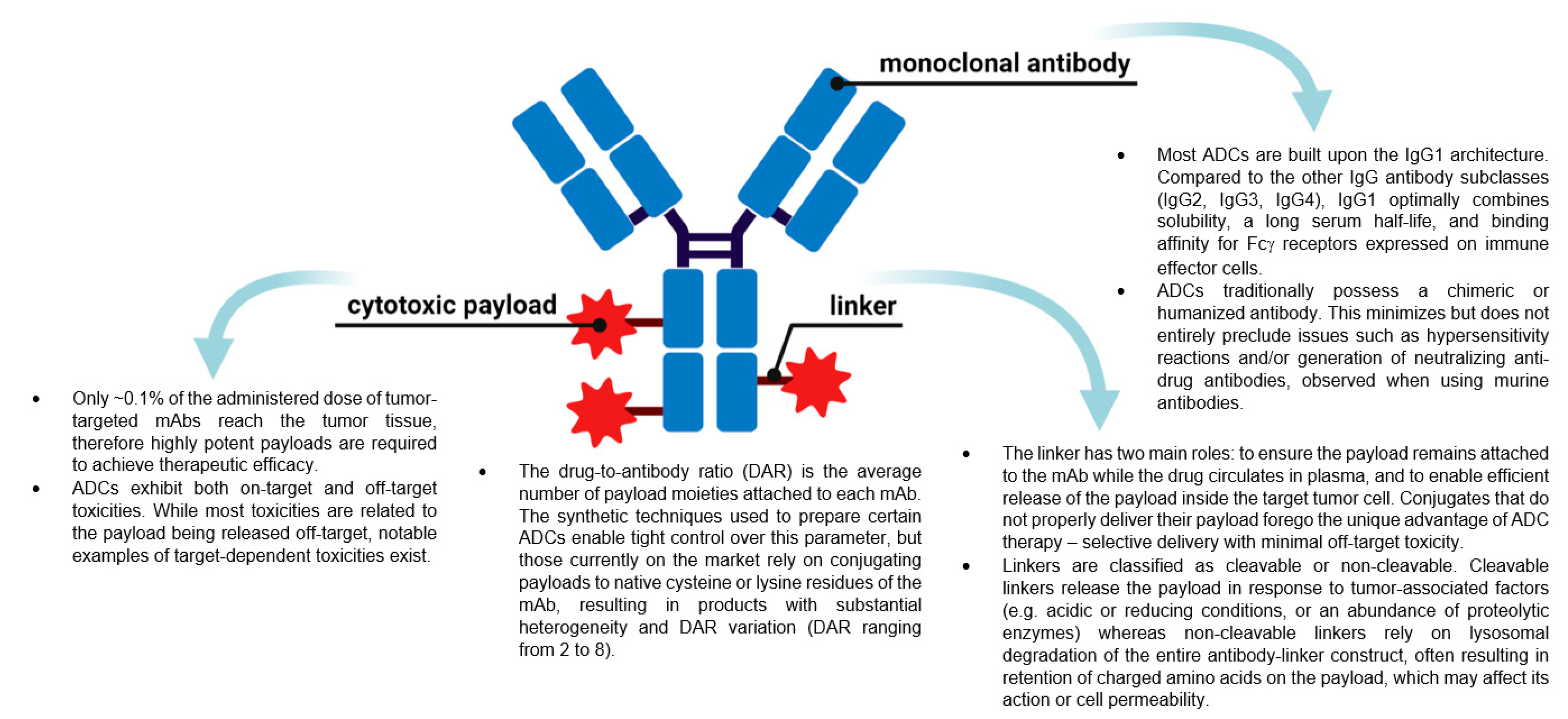 Molecules 26 05847 g001