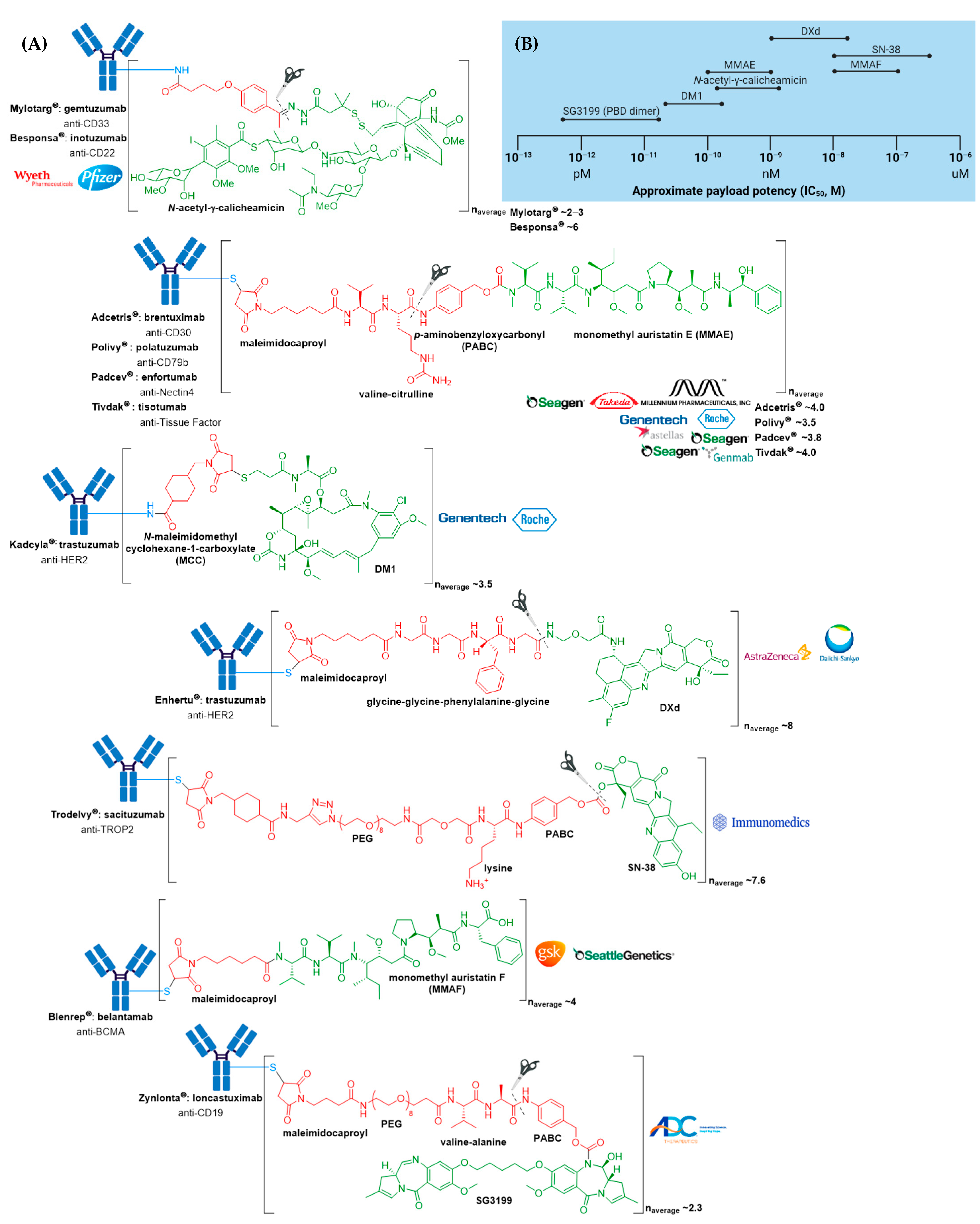 Molecules 26 05847 g002