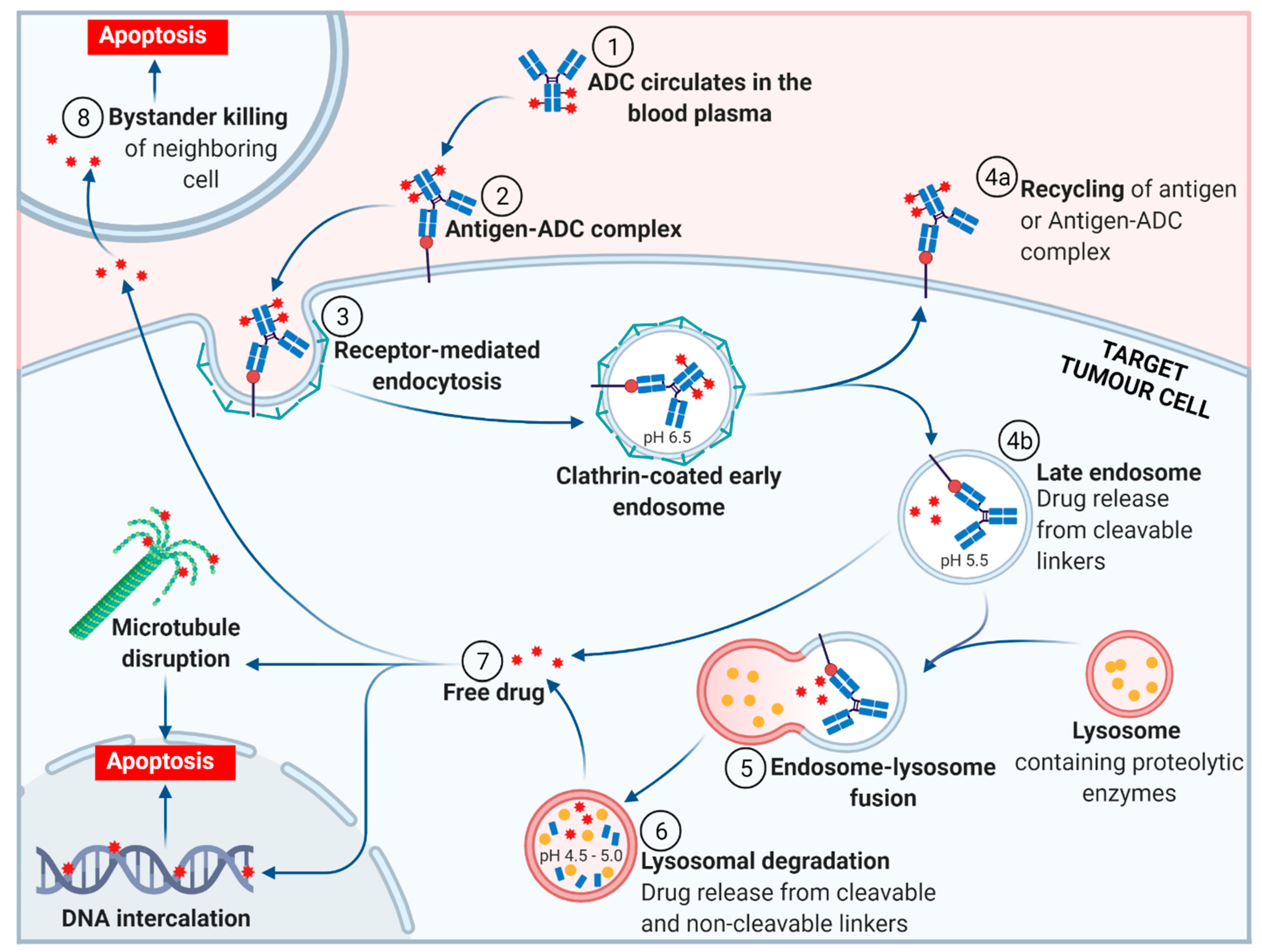 Molecules 26 05847 g003