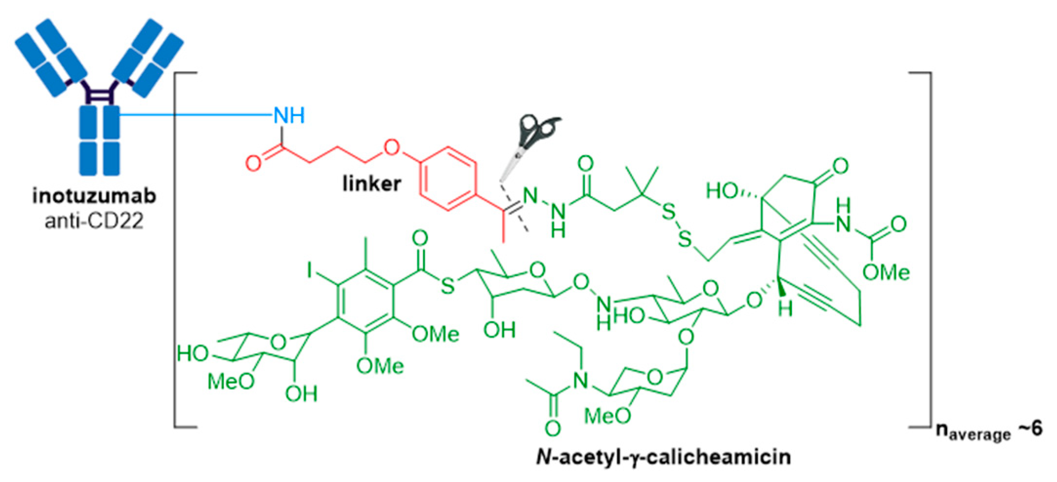 Molecules 26 05847 g009