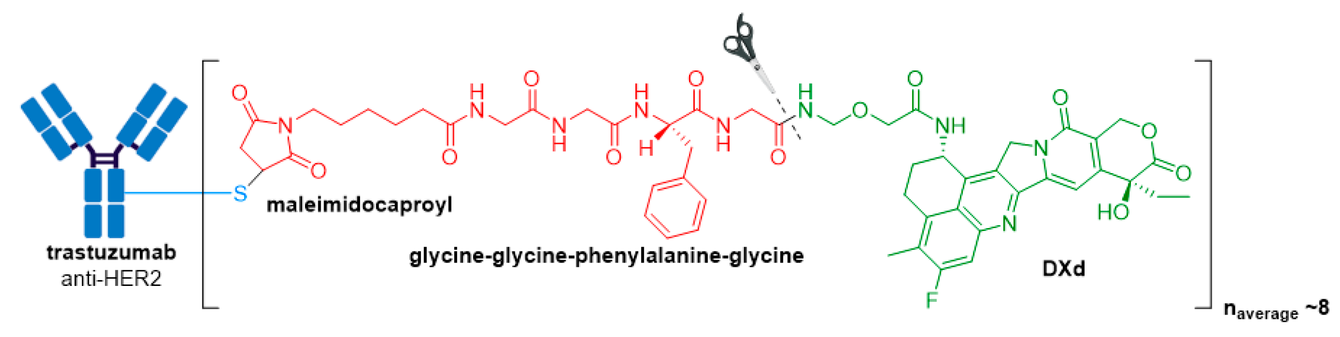 Molecules 26 05847 g011