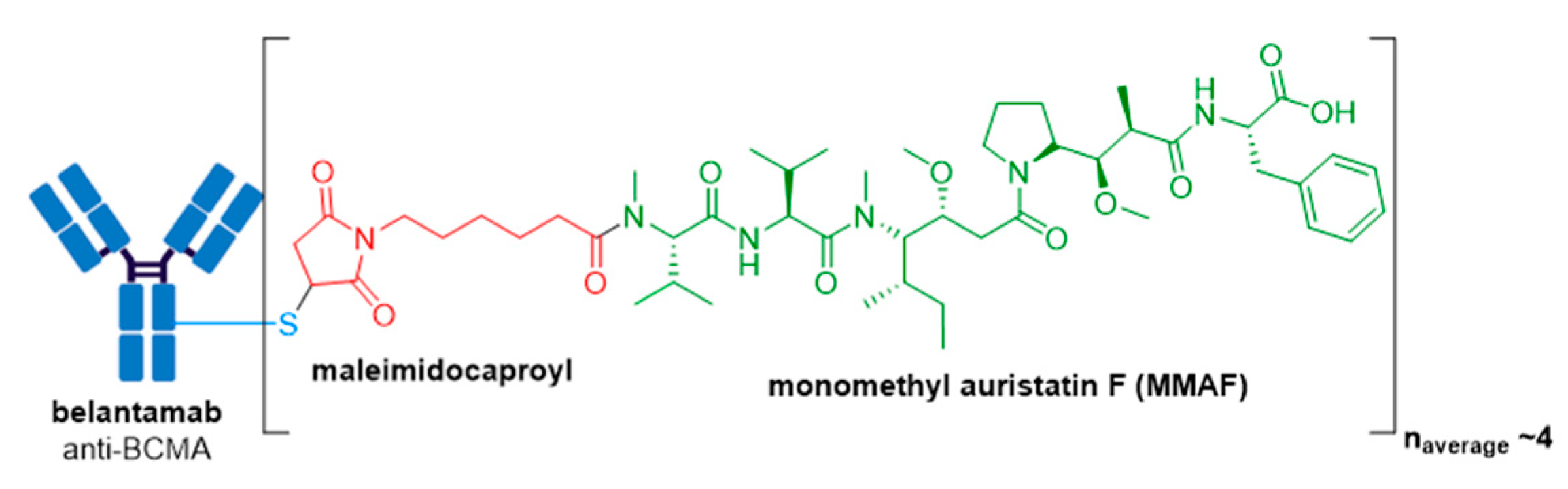Molecules 26 05847 g013