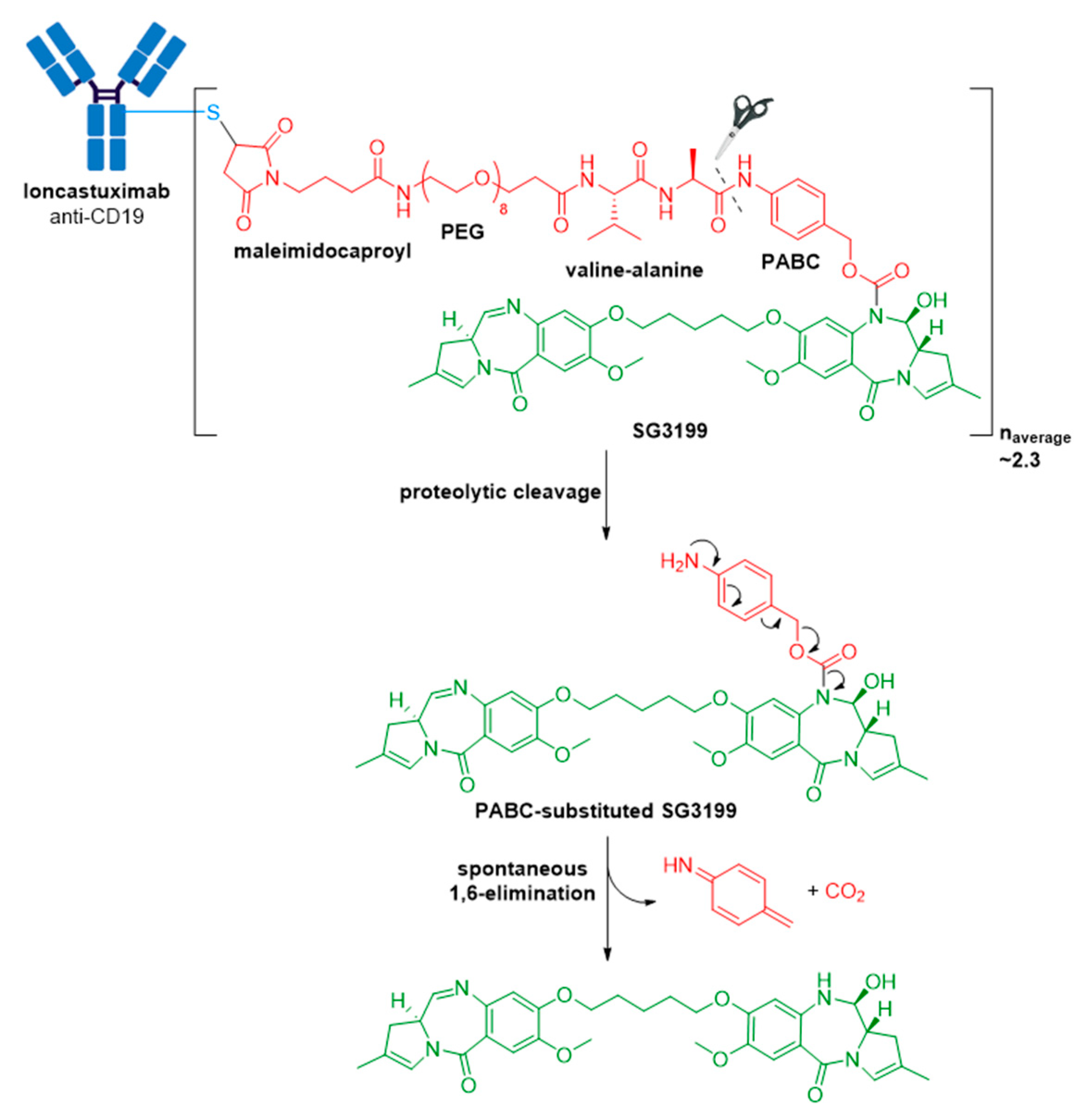 Molecules 26 05847 g014