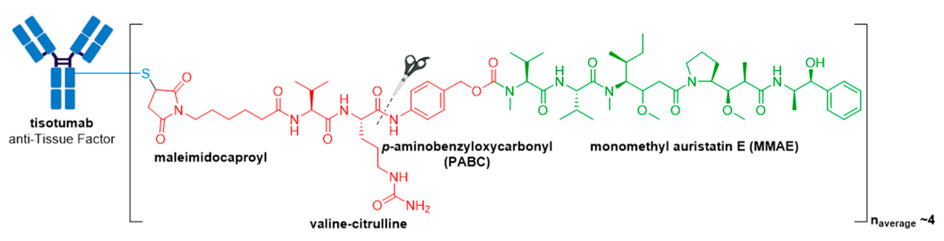 Molecules 26 05847 g016
