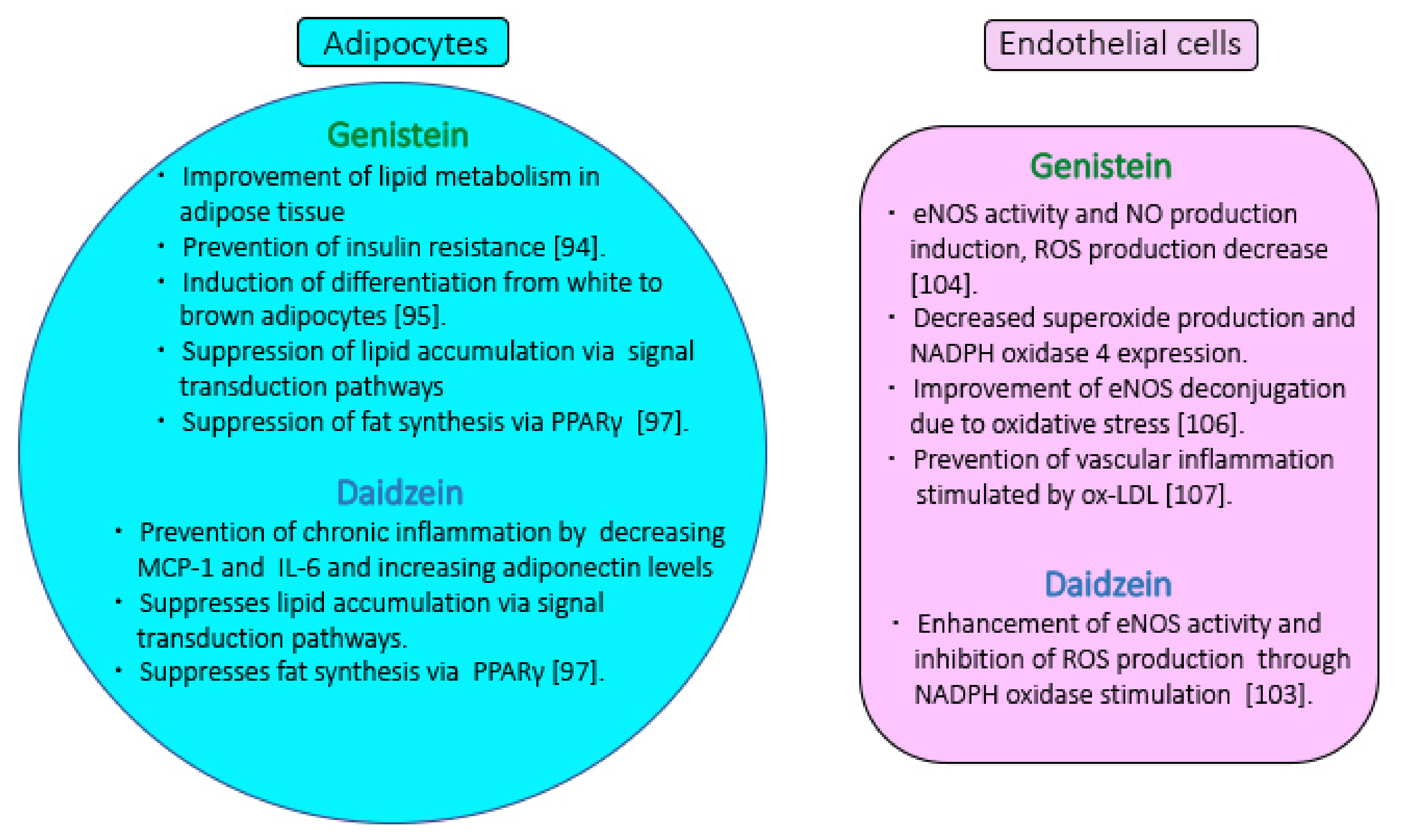 Molecules 26 05863 g003