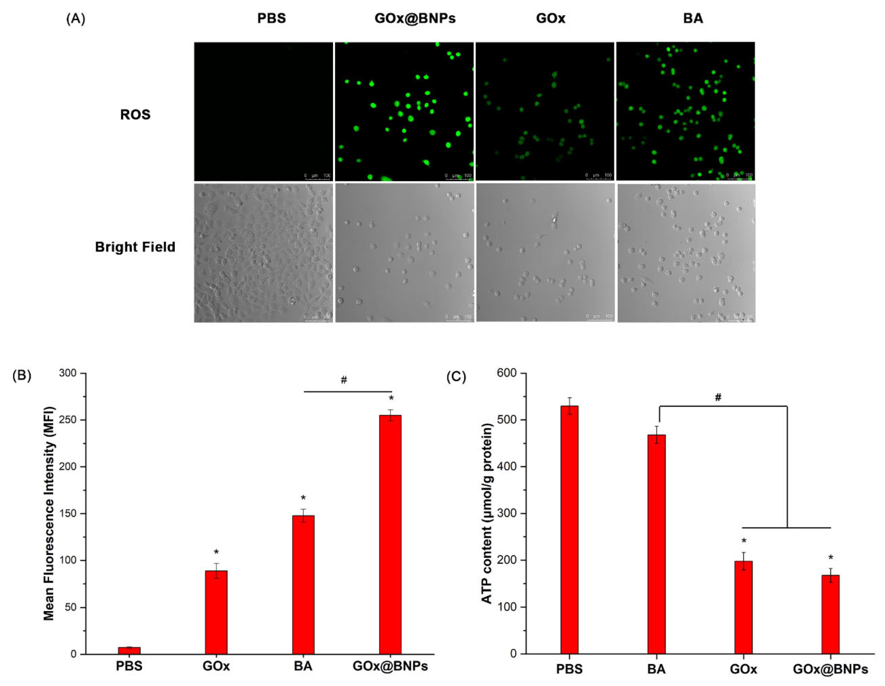 Molecules 26 05900 g007