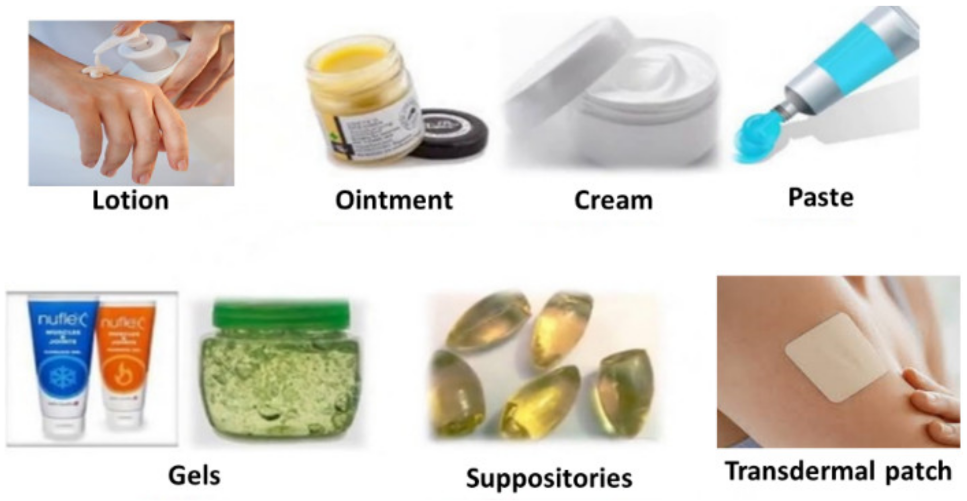 Molecules 26 05905 g007