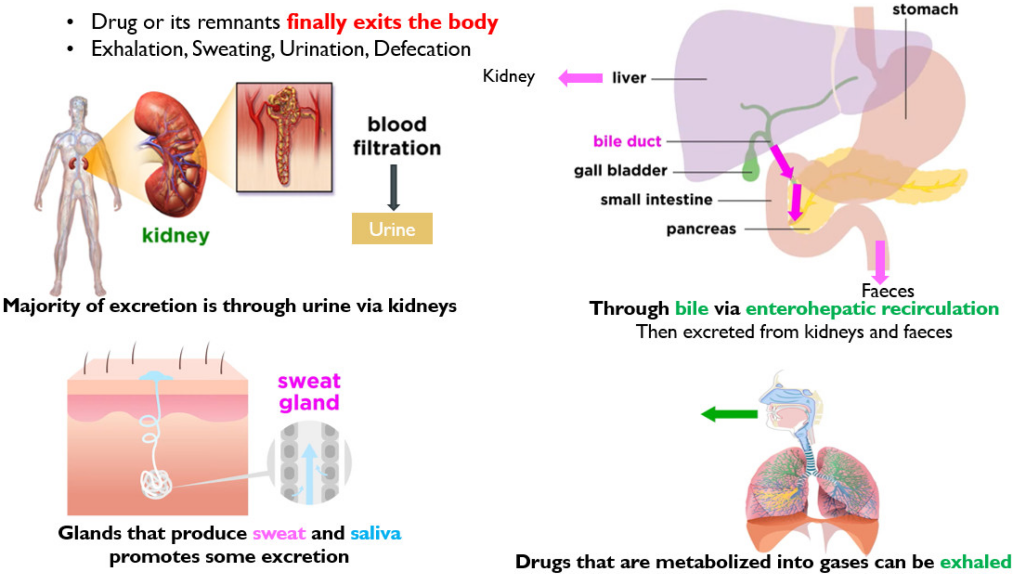Molecules 26 05905 g014