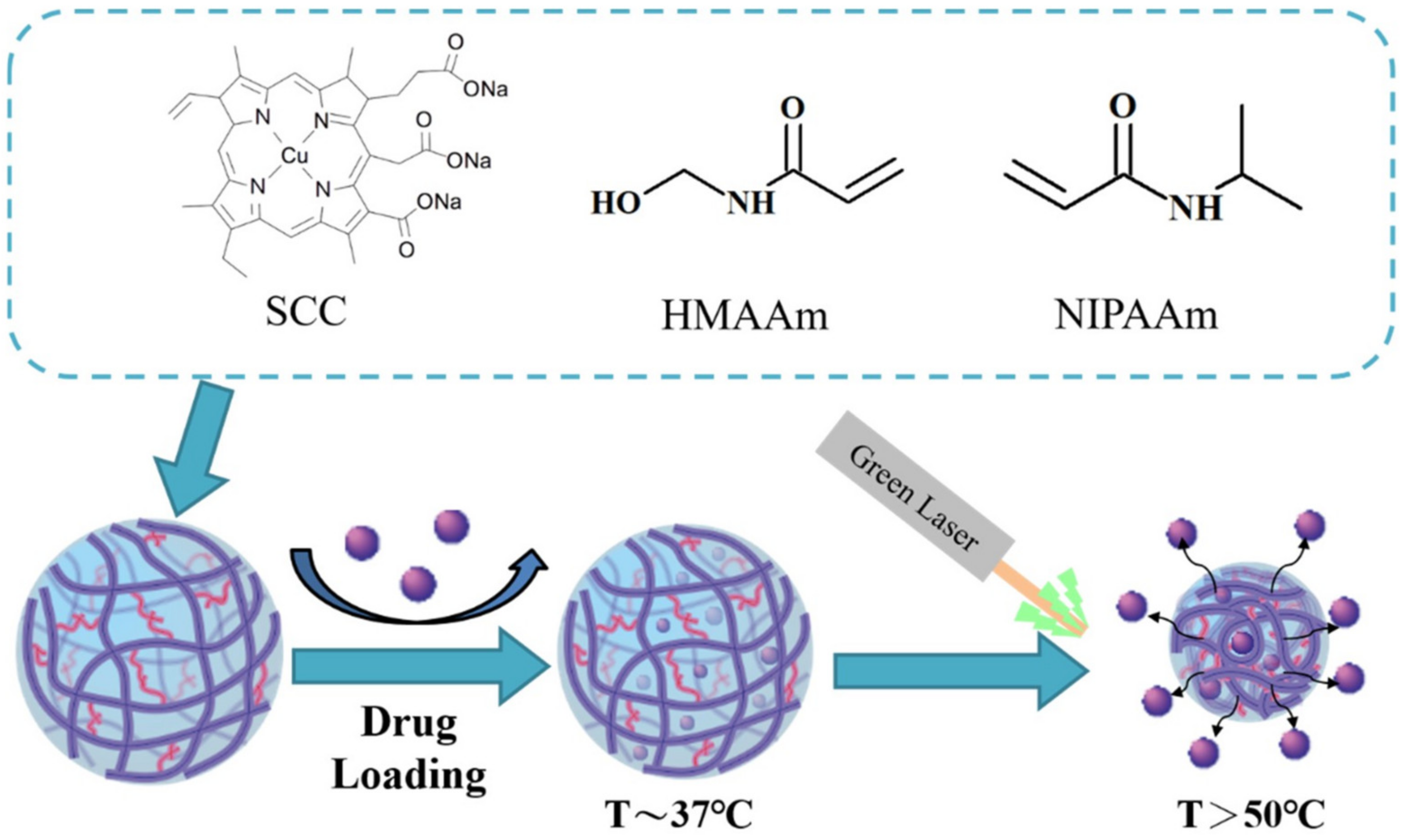 Molecules 26 05905 g035