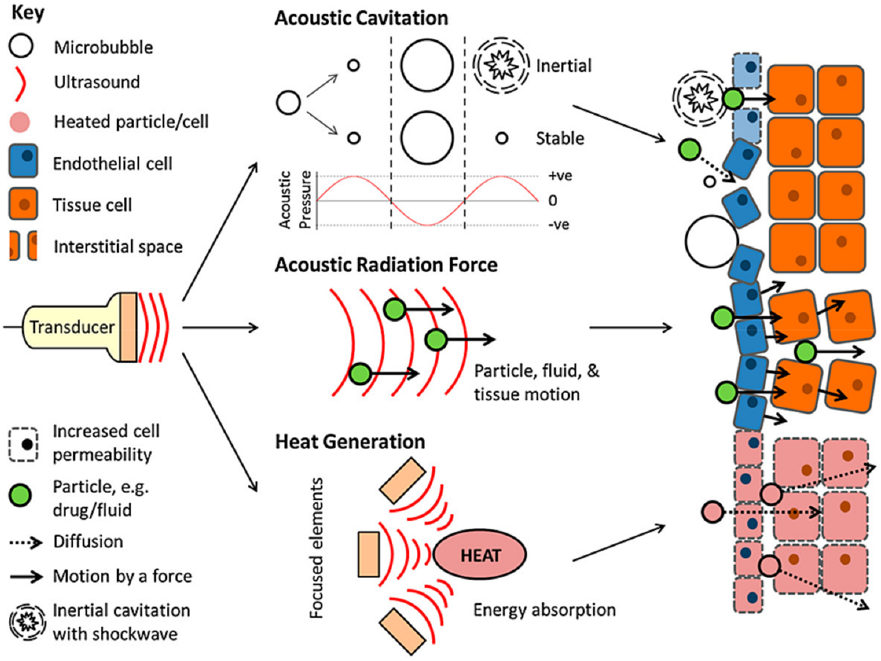 Molecules 26 05905 g037