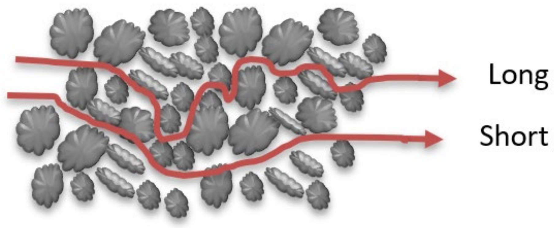 Molecules 26 05913 g004 Molecules 26 05913 g004
